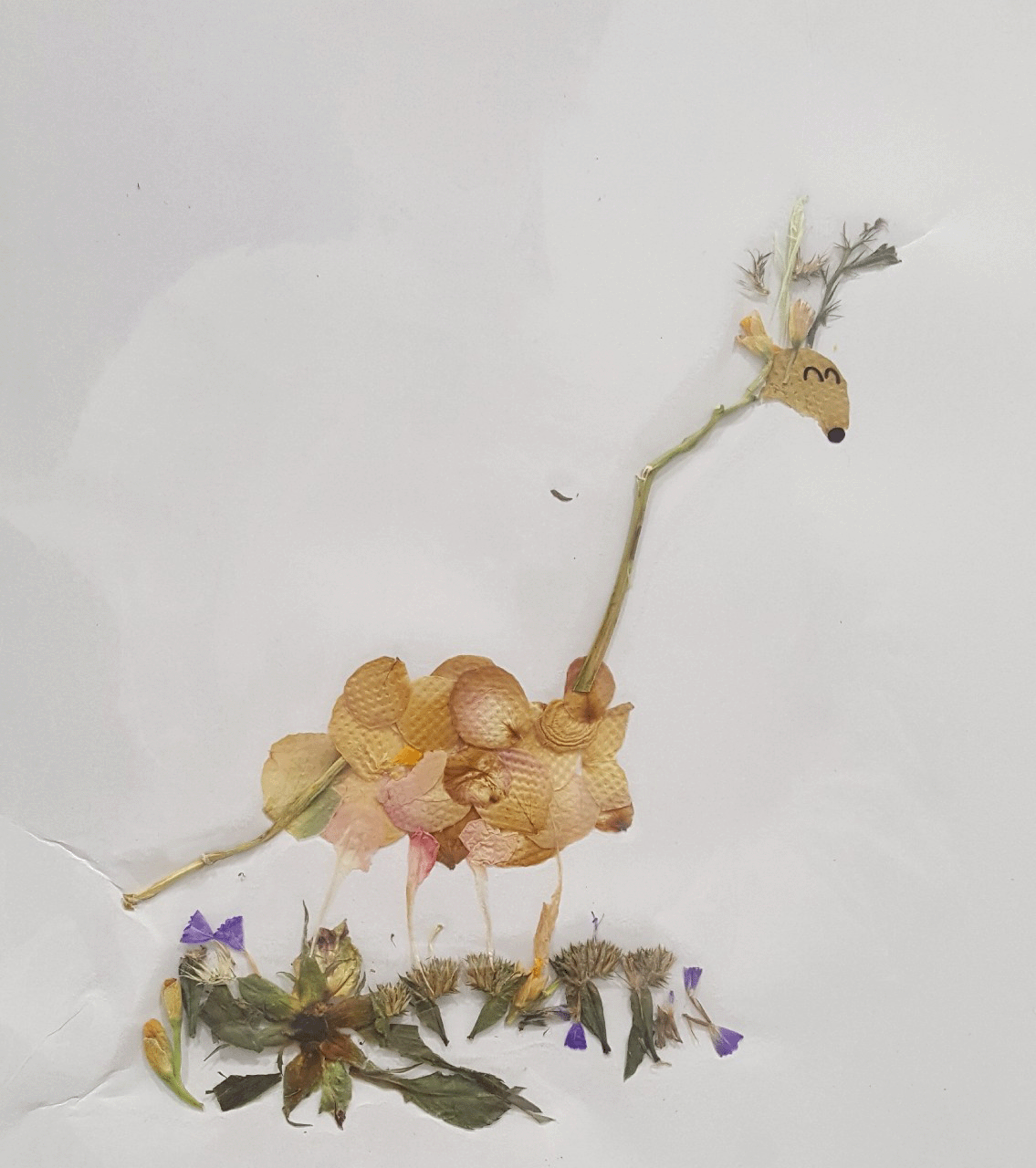 af1f1b13e711d.gif
