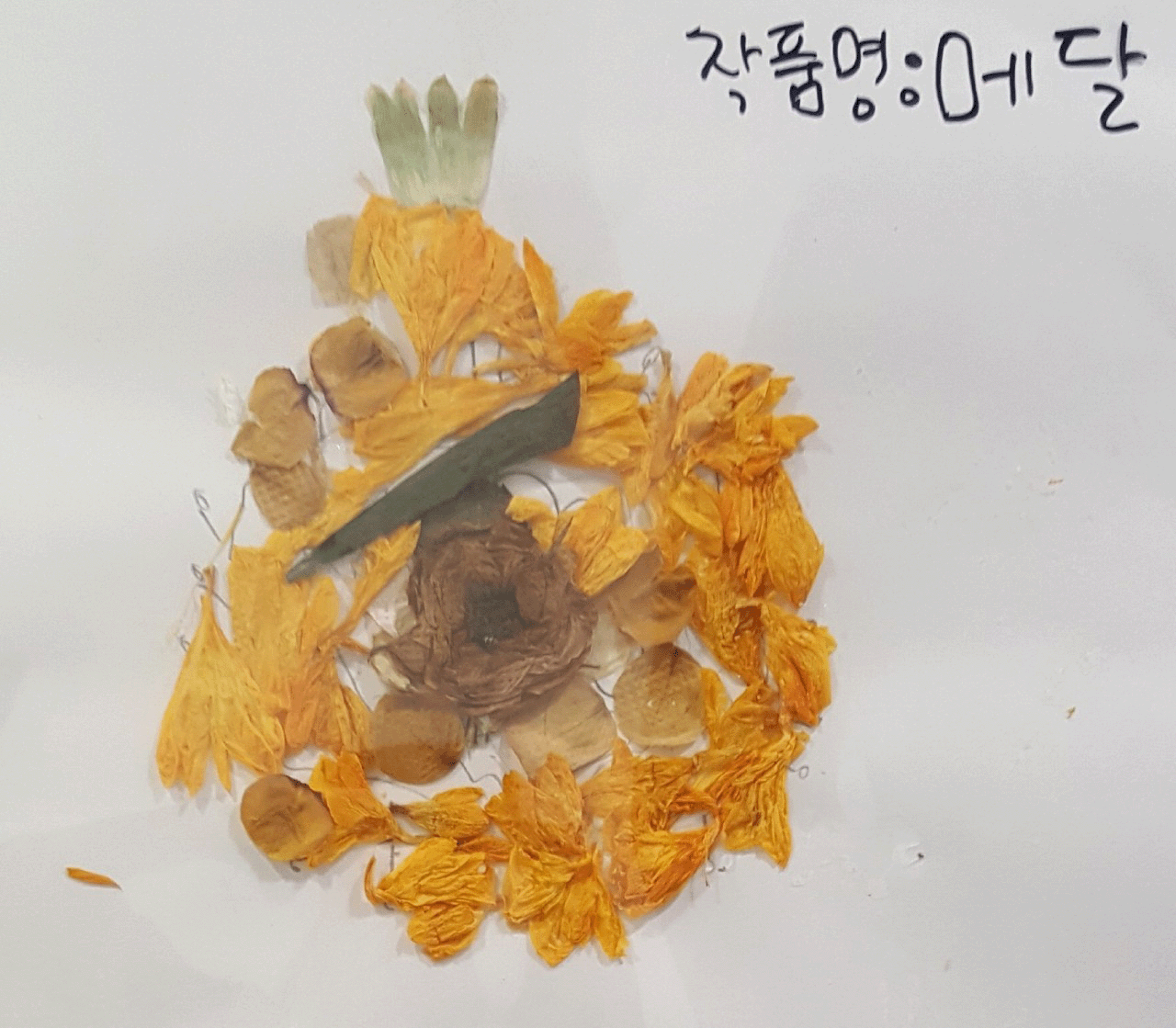 da14a16a6b819.gif