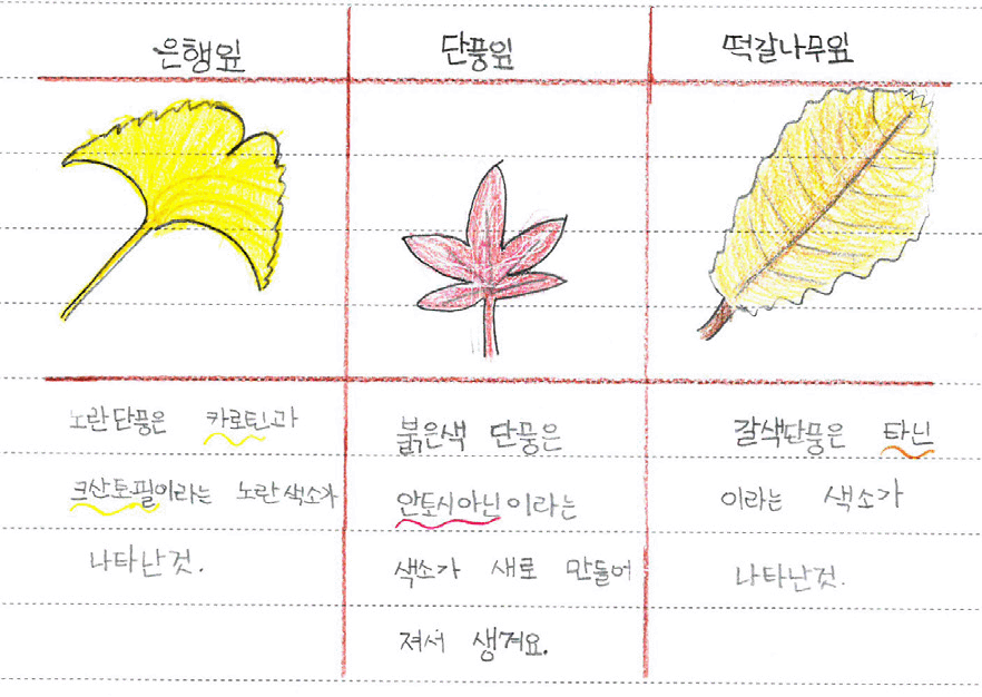 봄을 기다리며 씩씩하게 지내는 나무와 식물들 : Why브러리