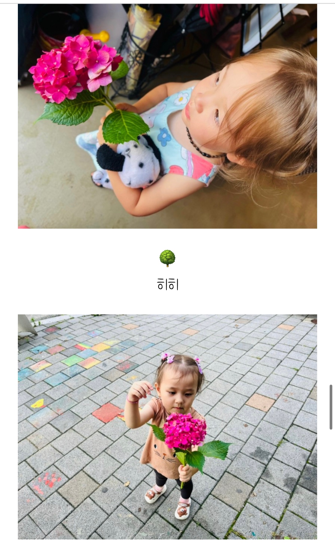 89cc87ea2500b.jpeg