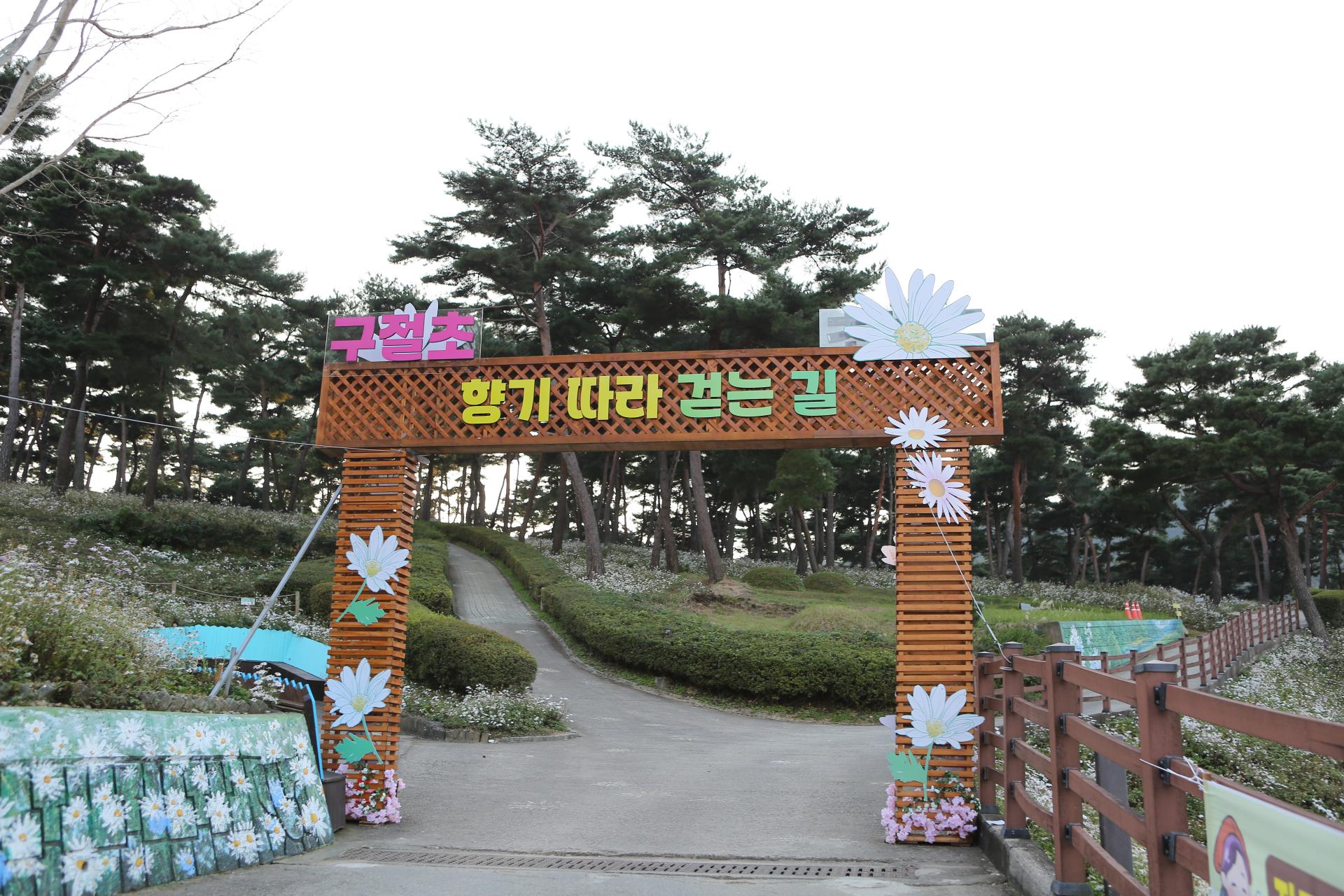 650d4fa07c71b.jpg