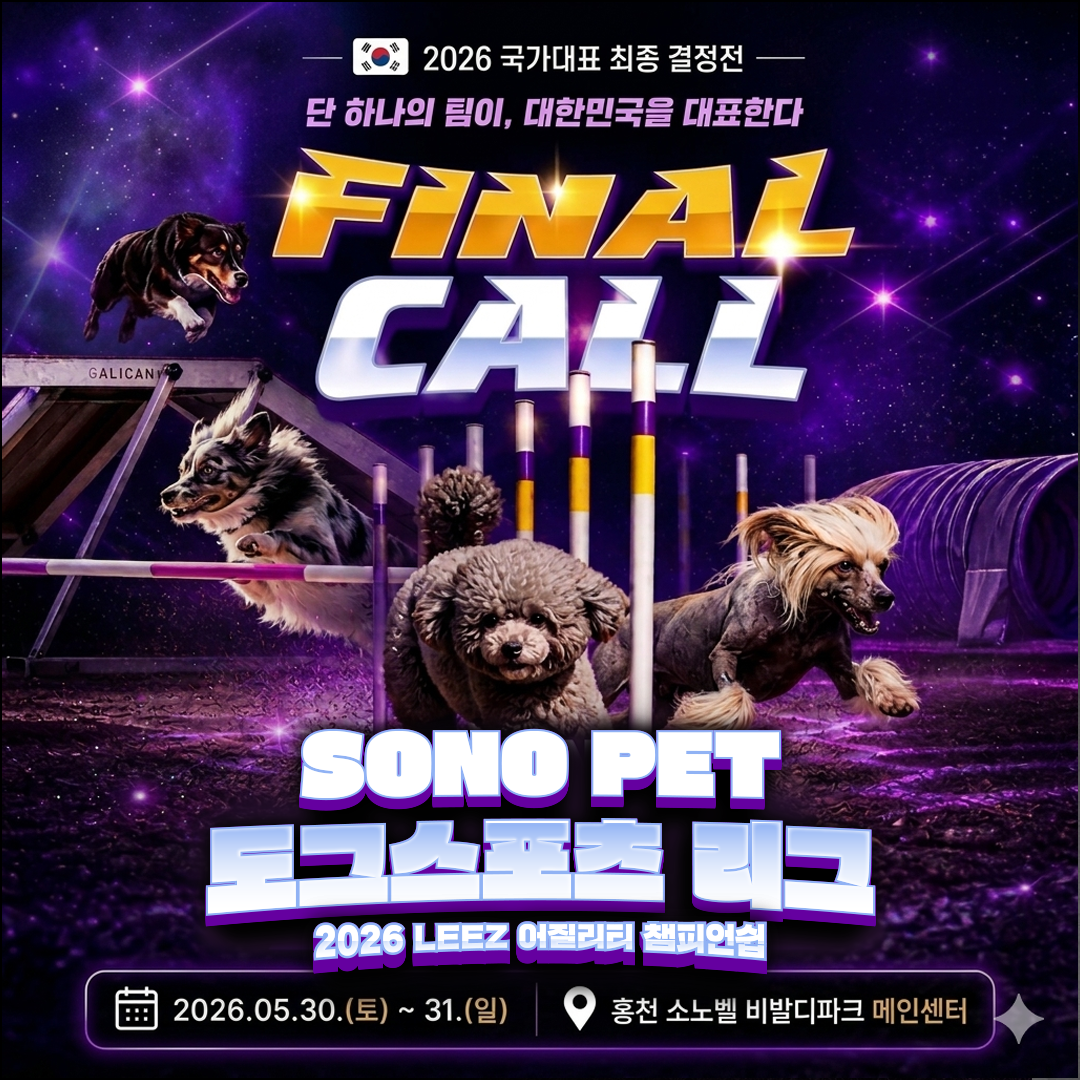 56346fab563de.png