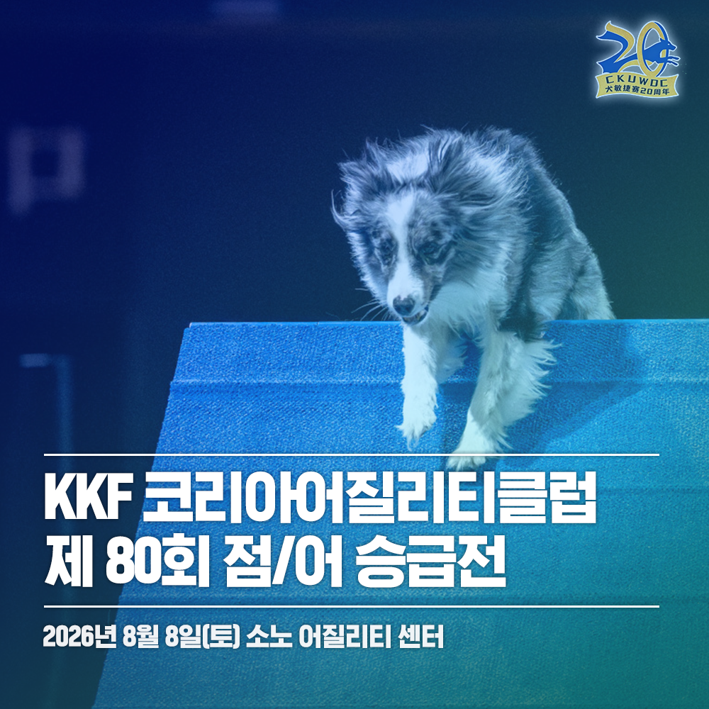 7299c5ebc8756.png
