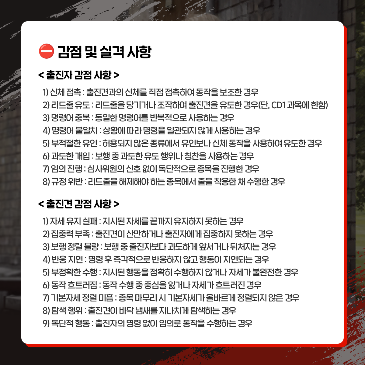 d55e68a0f8175.png