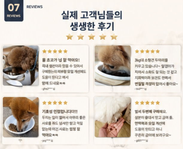 식욕증진 전견종 도움 모질 관절 면역력 피부개선 가수분해 눈물 비건 사료 도도한 2.4kg