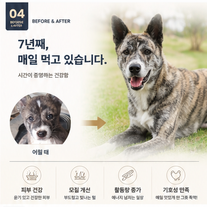식욕증진 전견종 도움 모질 관절 면역력 피부개선 가수분해 눈물 비건 사료 도도한 2.4kg