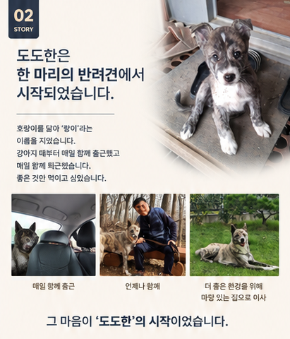 식욕증진 전견종 도움 모질 관절 면역력 피부개선 가수분해 눈물 비건 사료 도도한 2.4kg