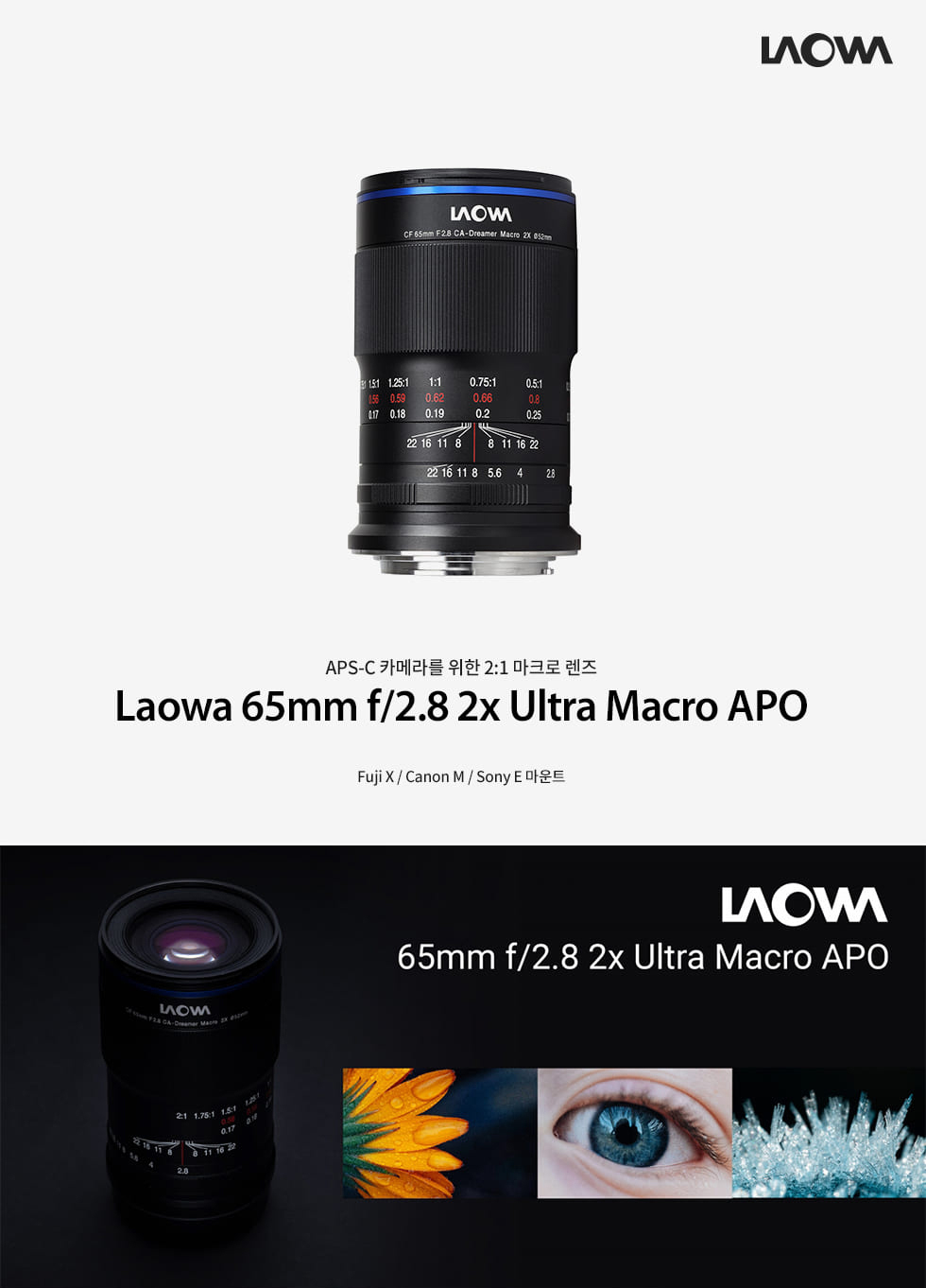 特価 《美品》 LAOWA 65mm F2.8 2x ULTRA MACRO APO (フジフイルムX用