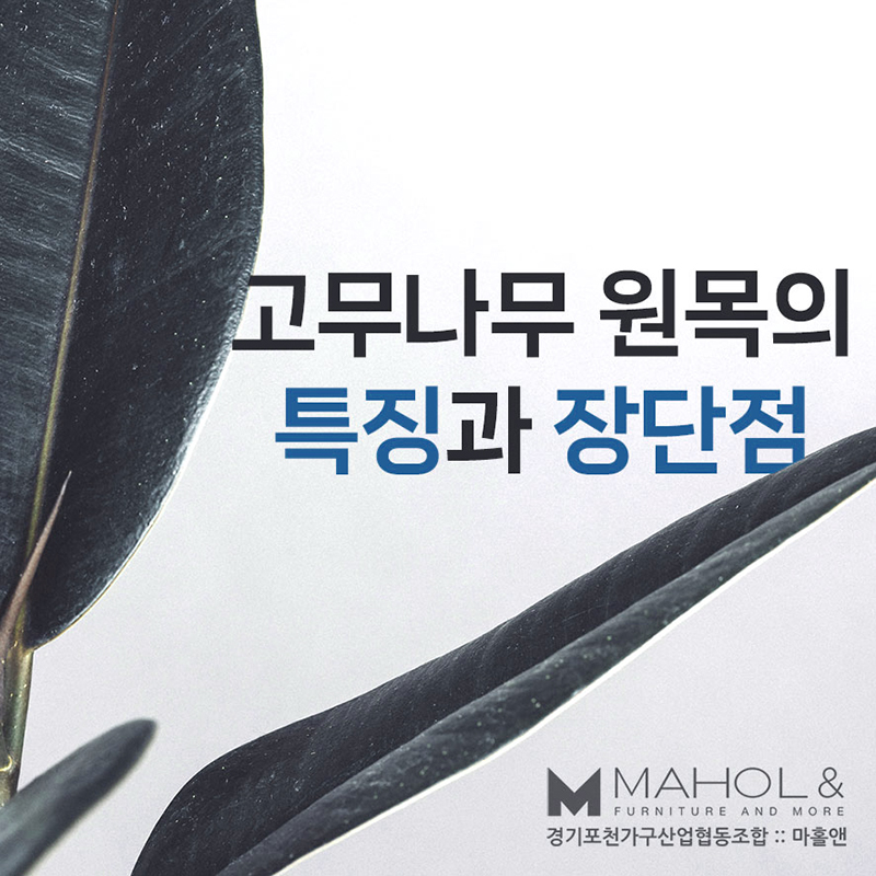 583a5761556cc.jpg