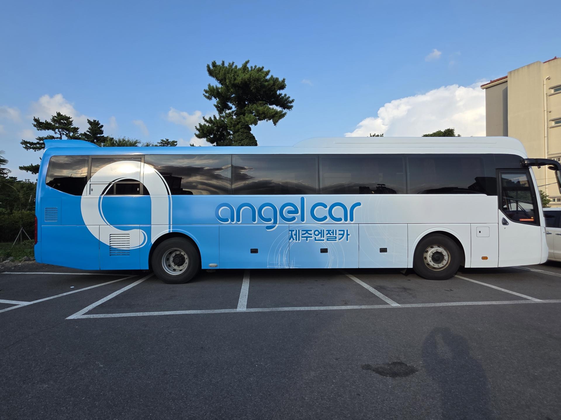 47d2f1ebe640f.jpg