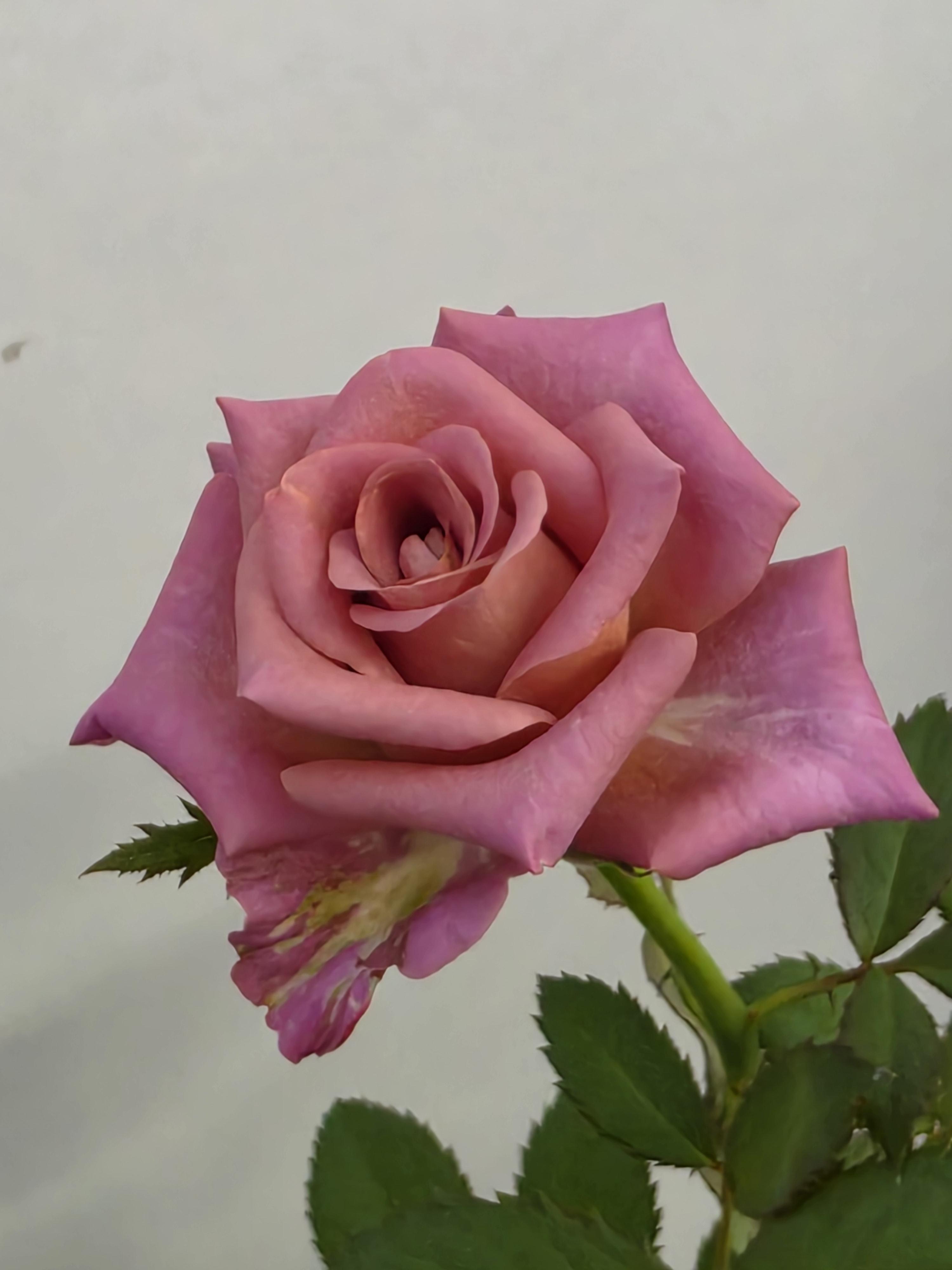 4344f64724beb.jpg