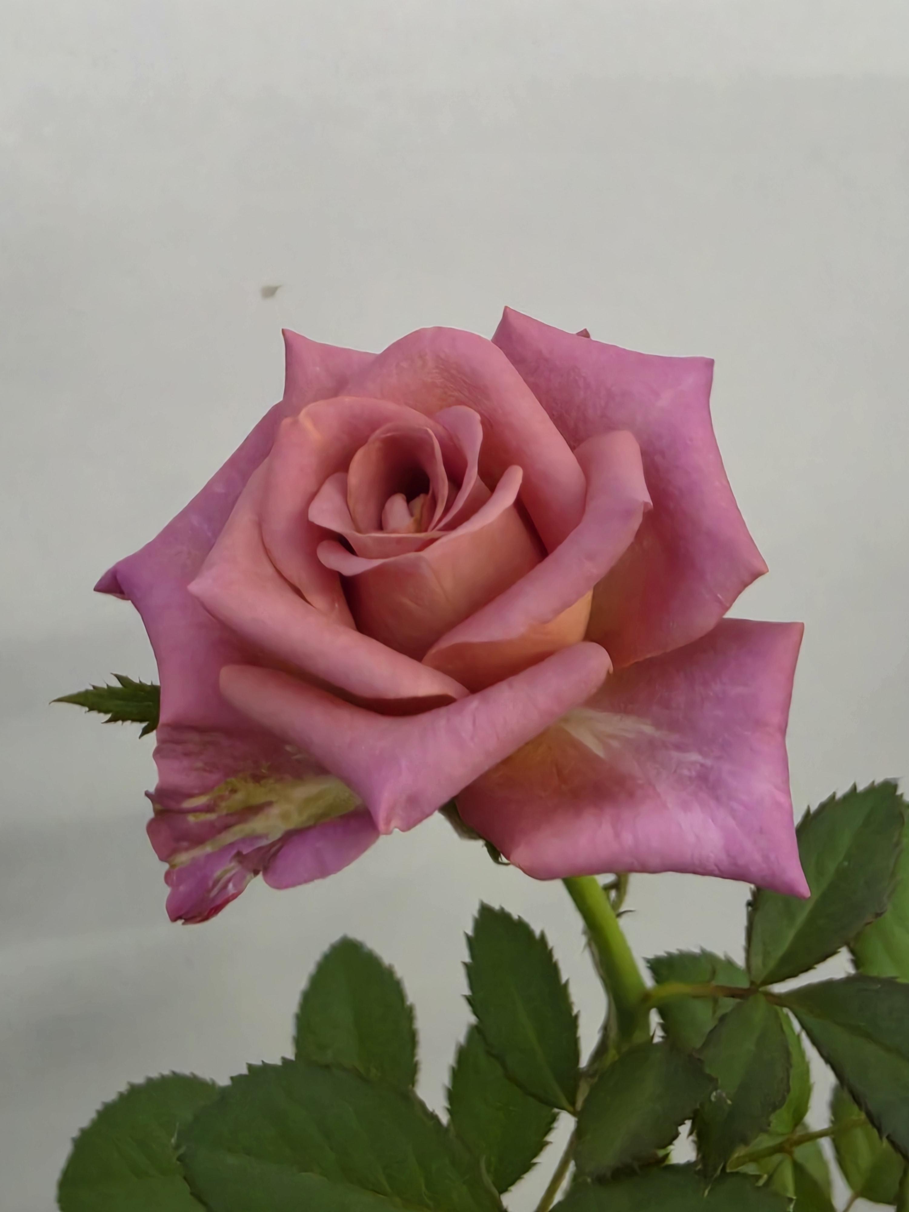 558d2f02ab623.jpg