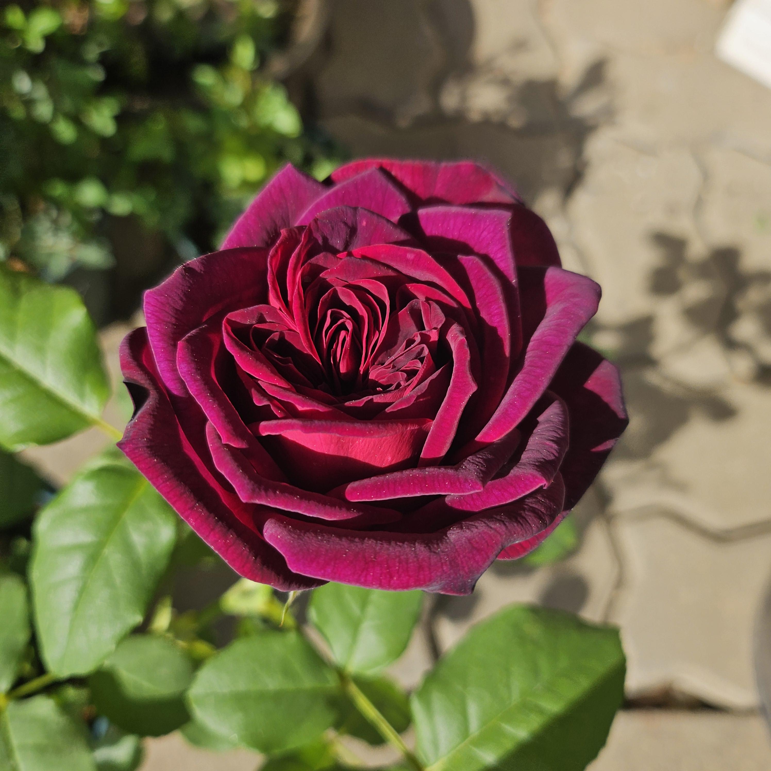 61746639902f9.jpg