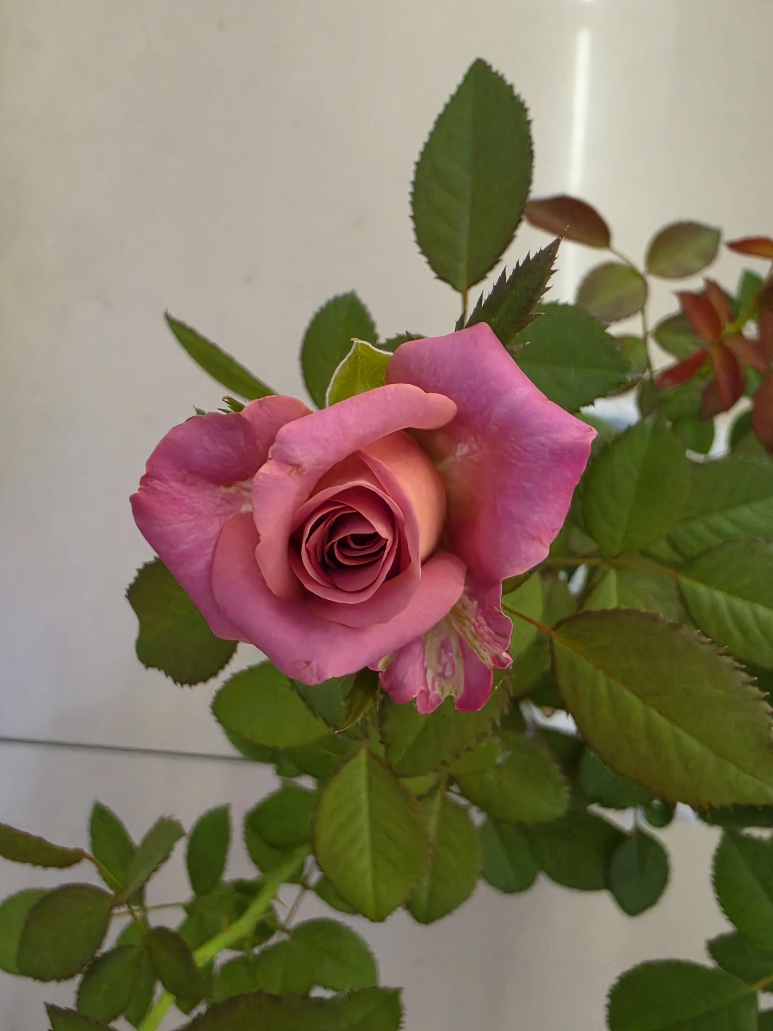 a6ab6b50c197f.jpg