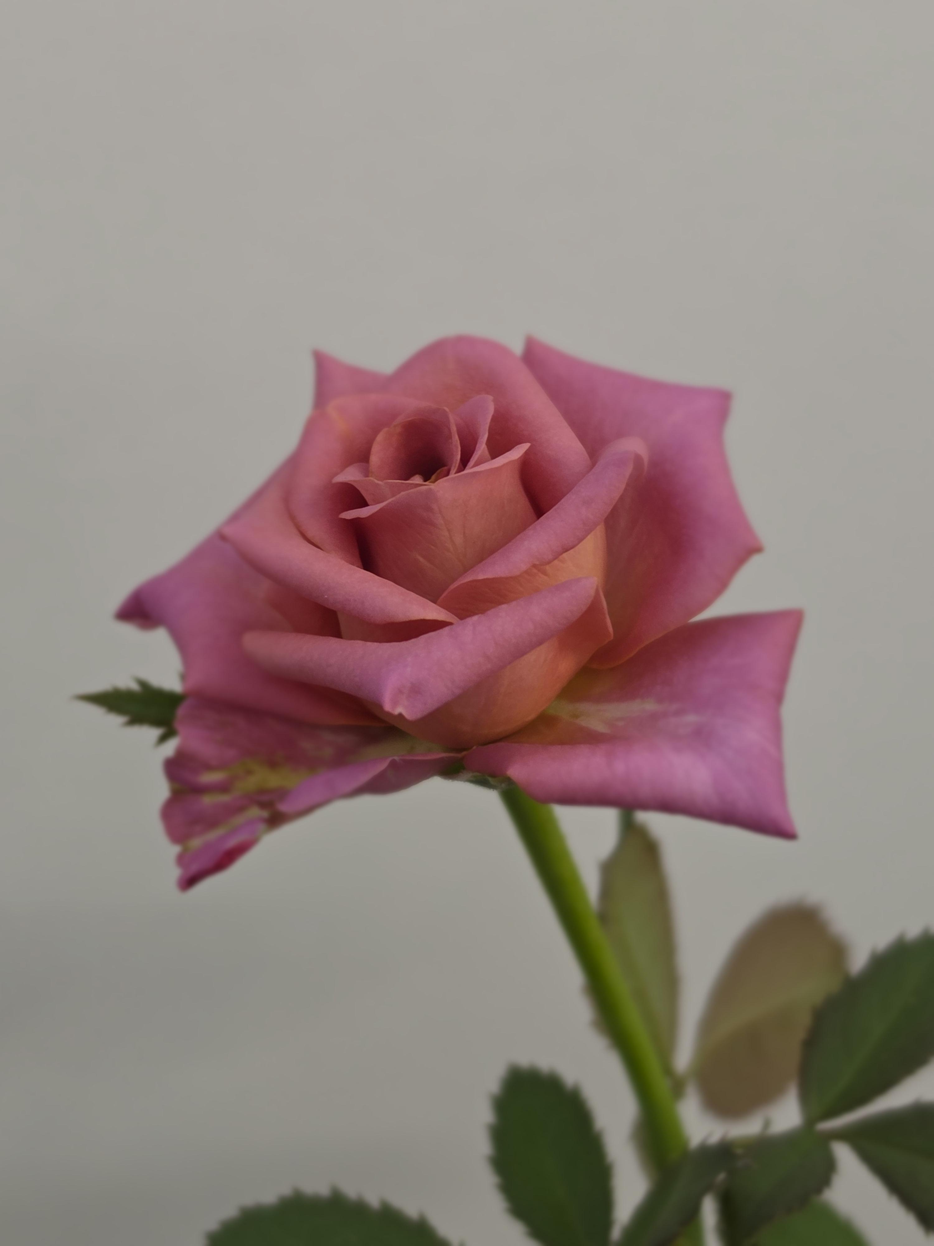 c8117b3a7c0b6.jpg