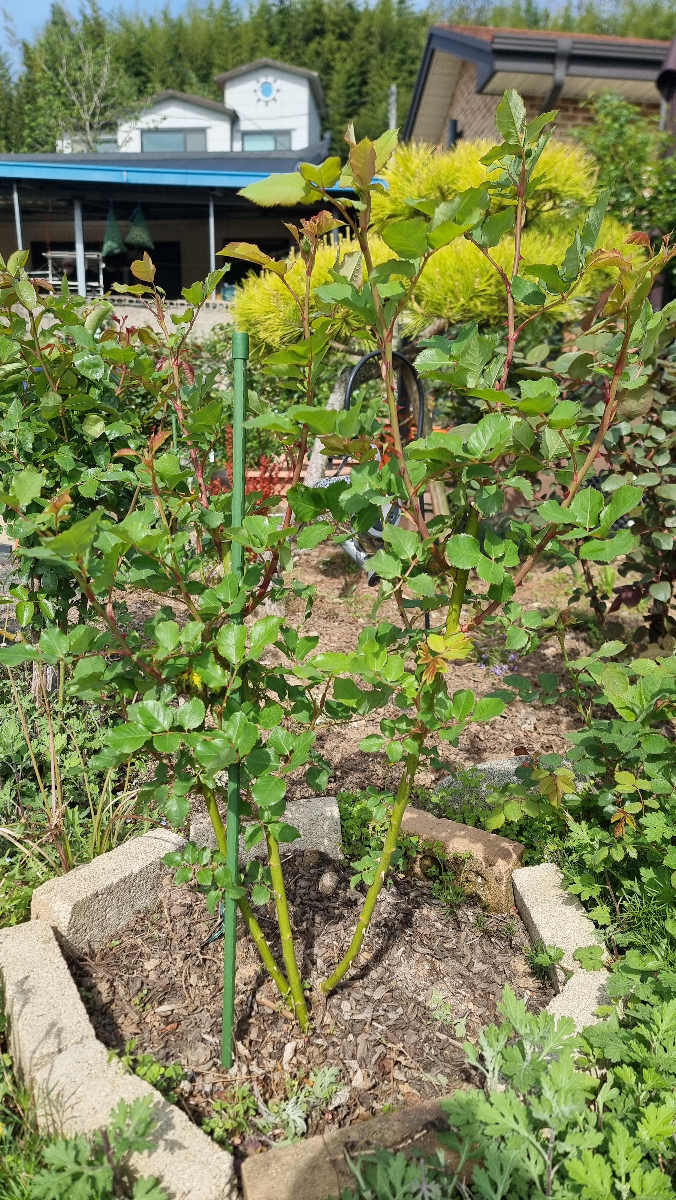 ed604b1d23404.jpg