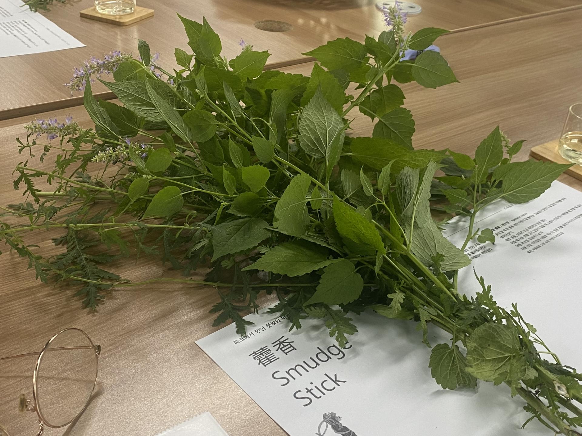 0cf26e61d7588.jpeg