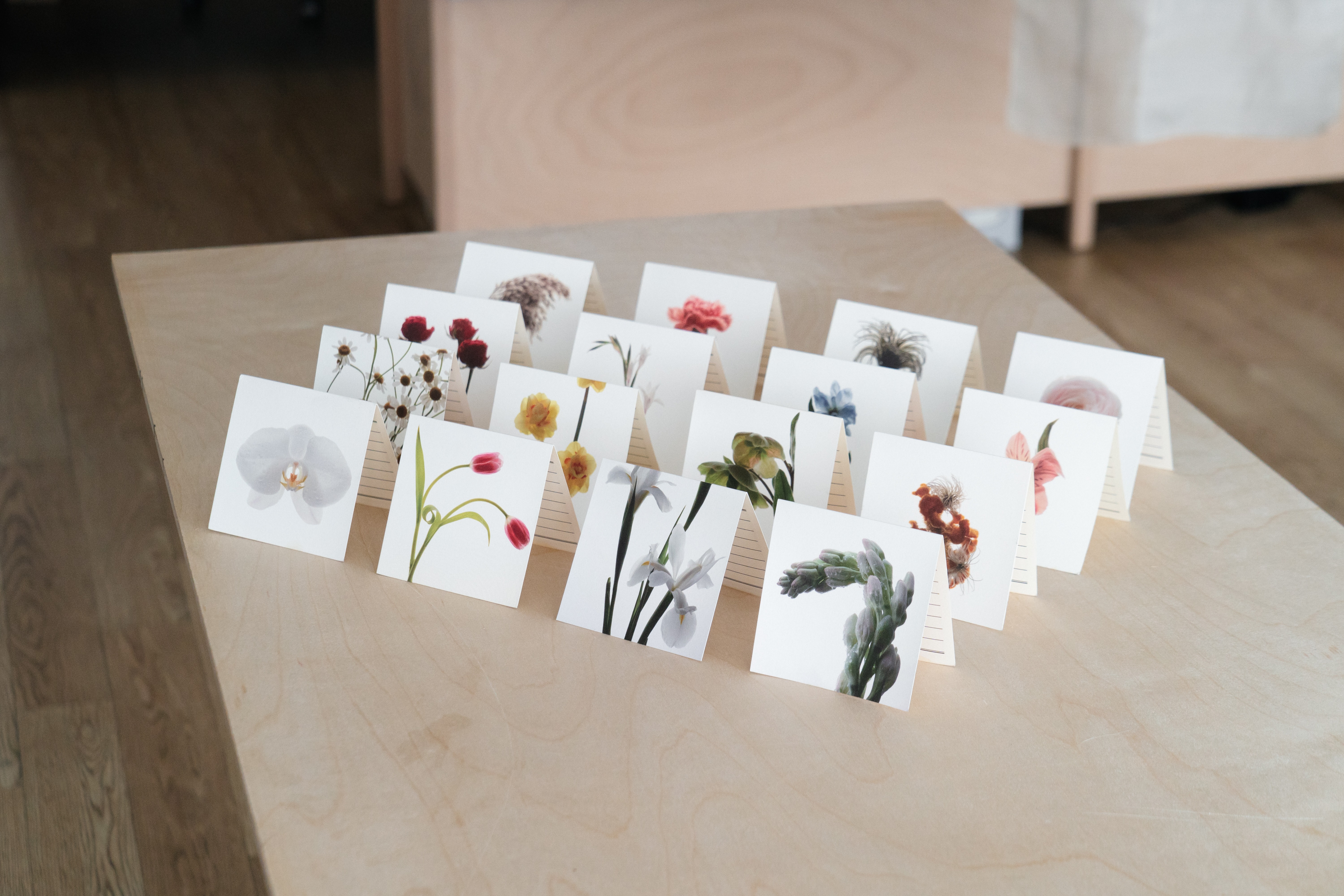 Flower Card 16 Full Set 플라워 카드 16 세트