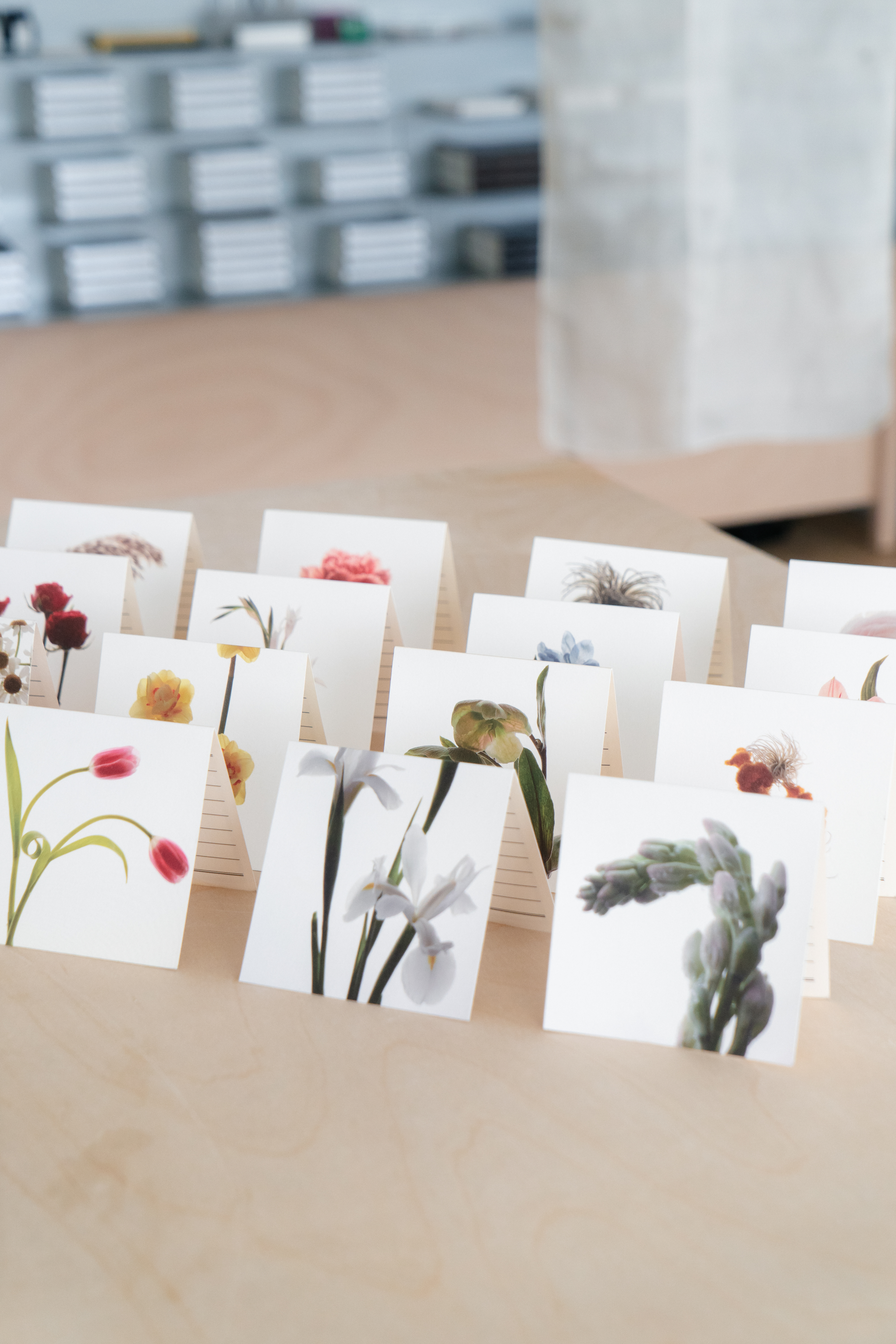 Flower Card 16 Full Set 플라워 카드 16 세트