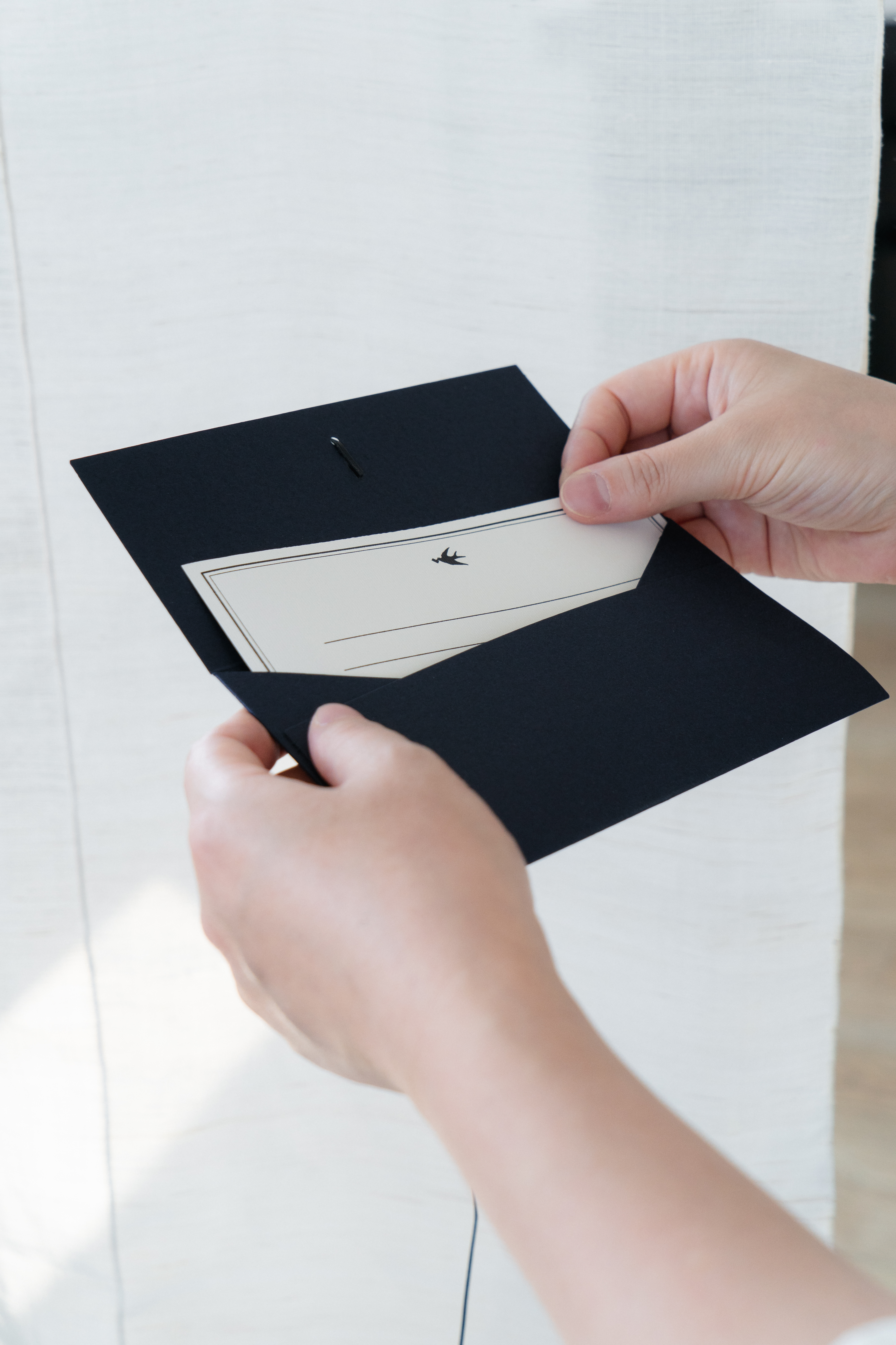 Jebi Tie Envelope 제비 축하 봉투, 3 colors