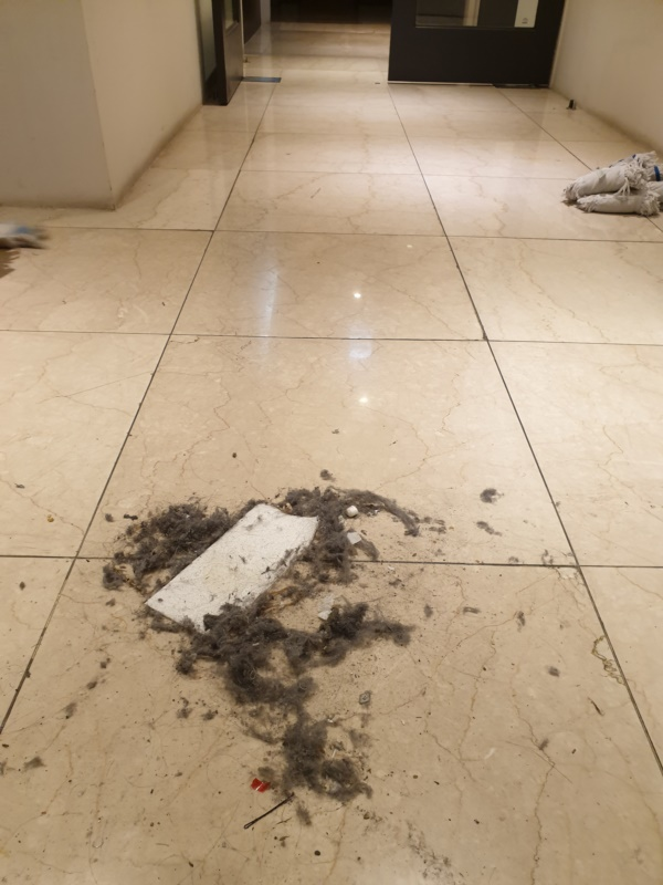 1a75d31138048.png