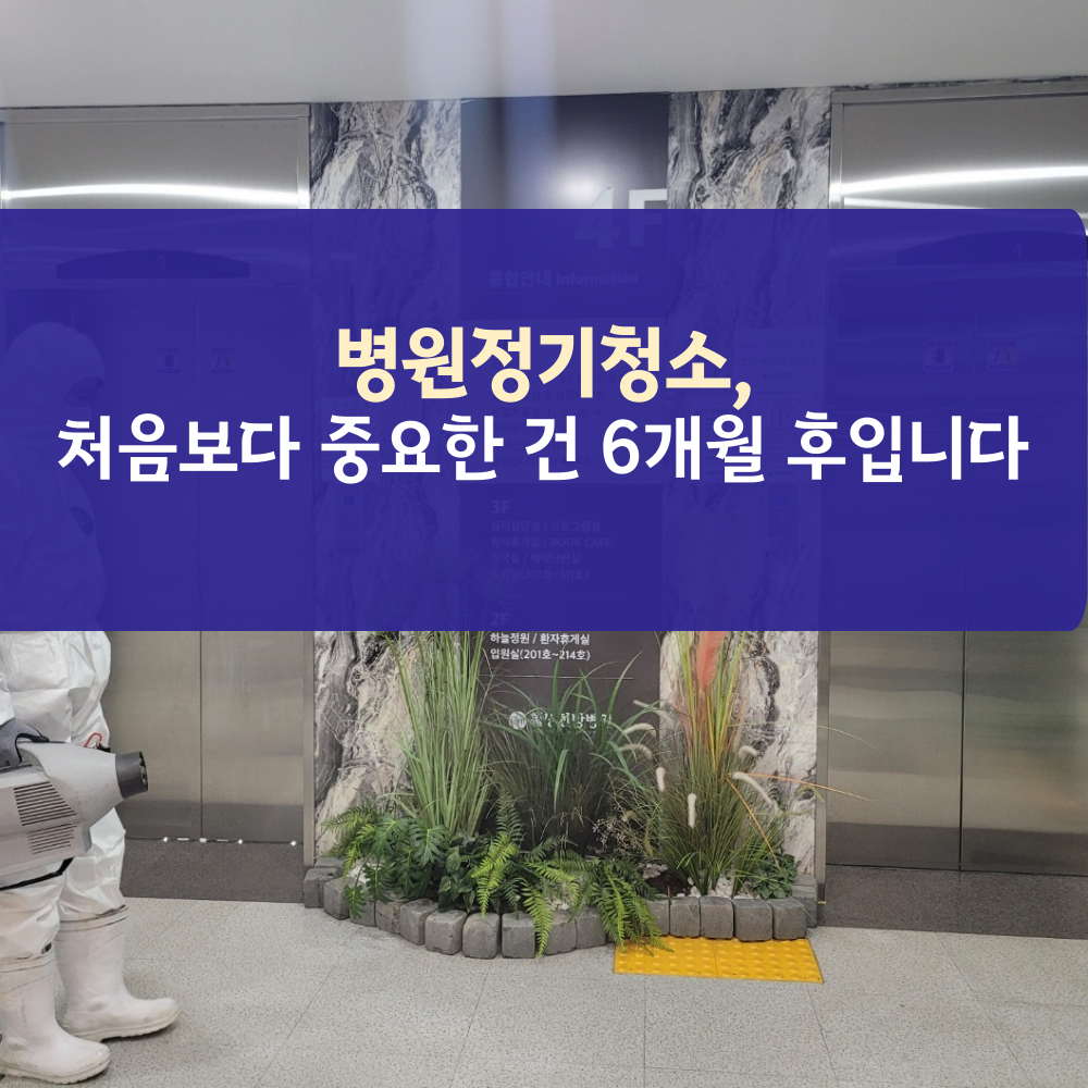 d9429e0428a7a.png