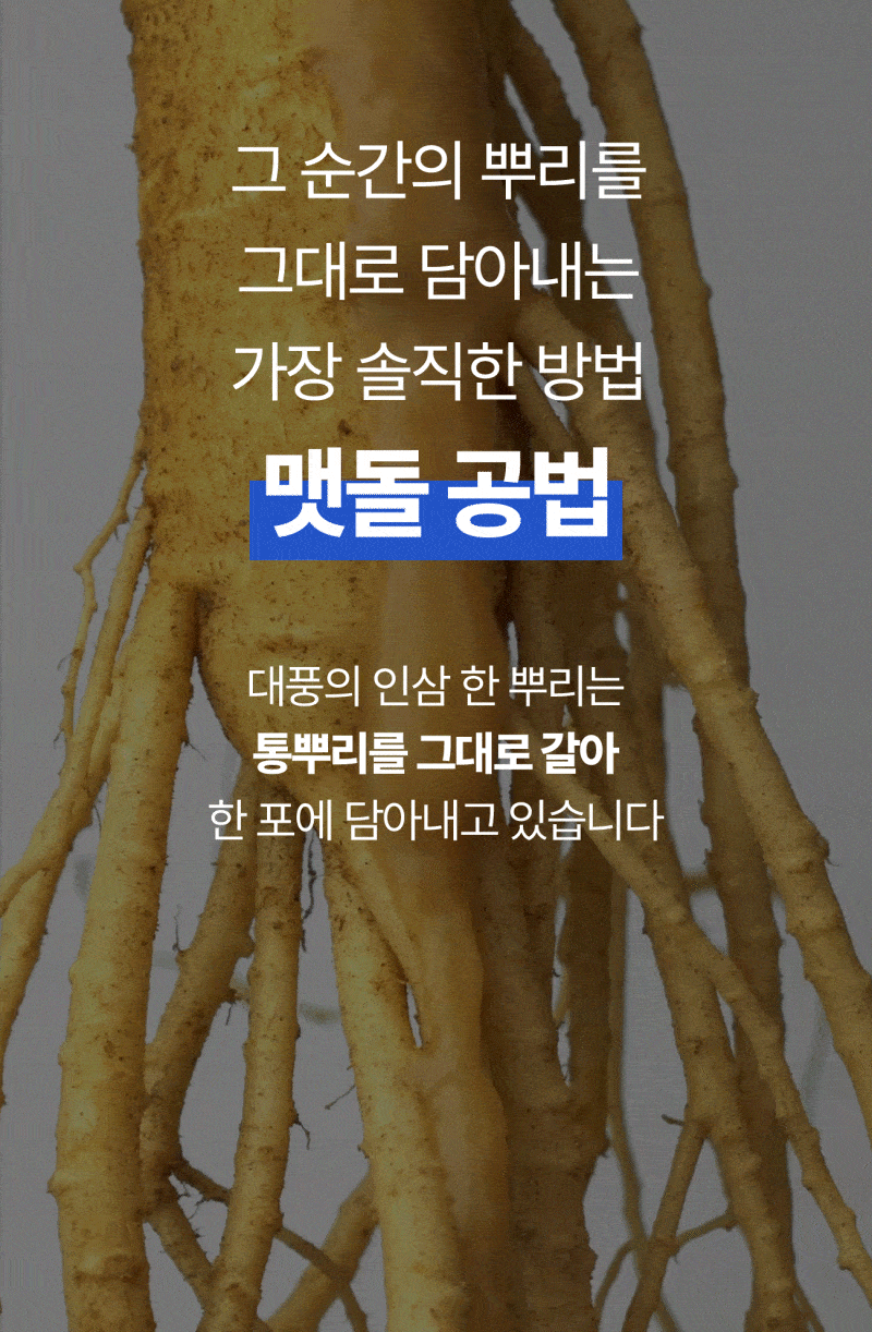 인삼한뿌리 스틱