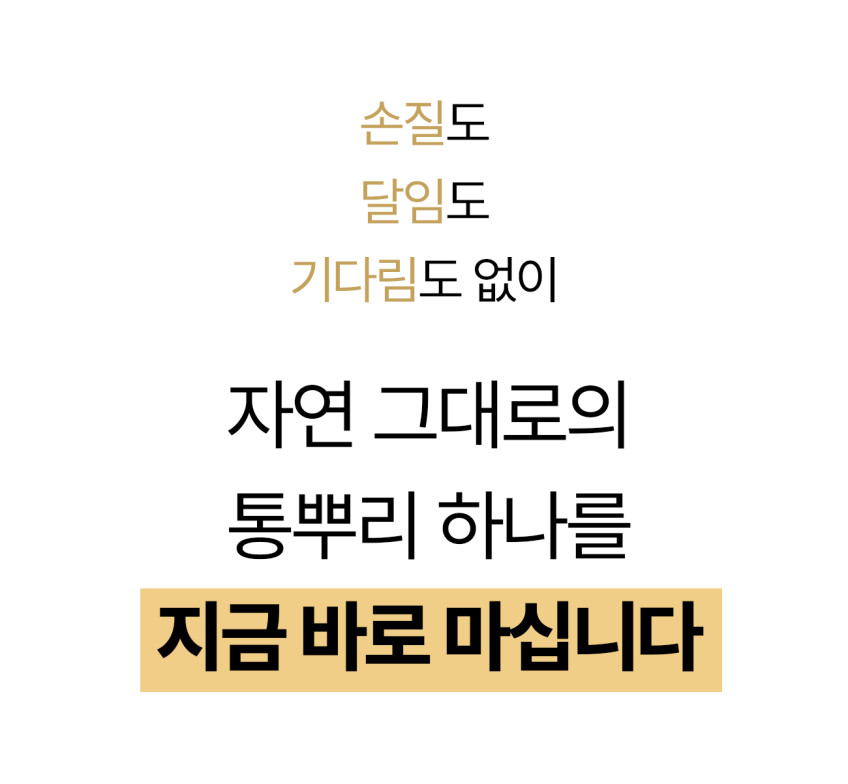 인삼한뿌리 스틱