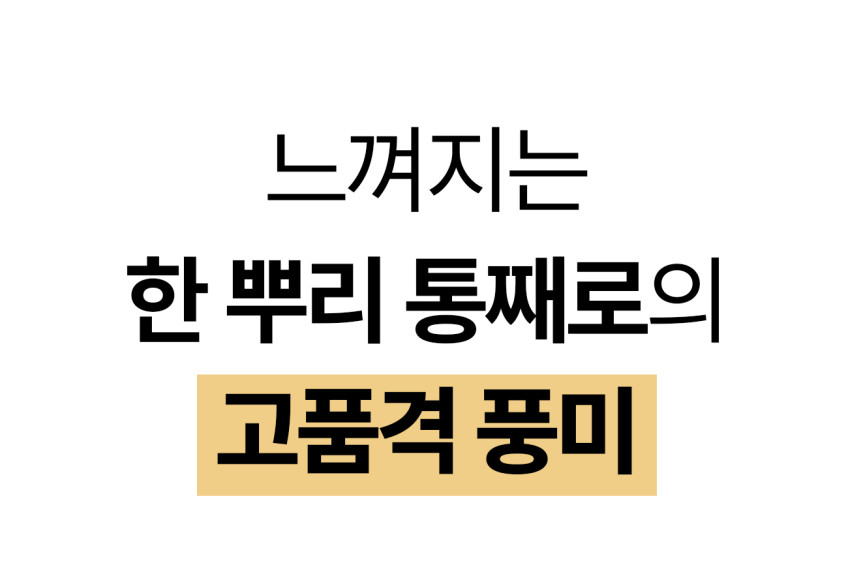 인삼한뿌리 스틱