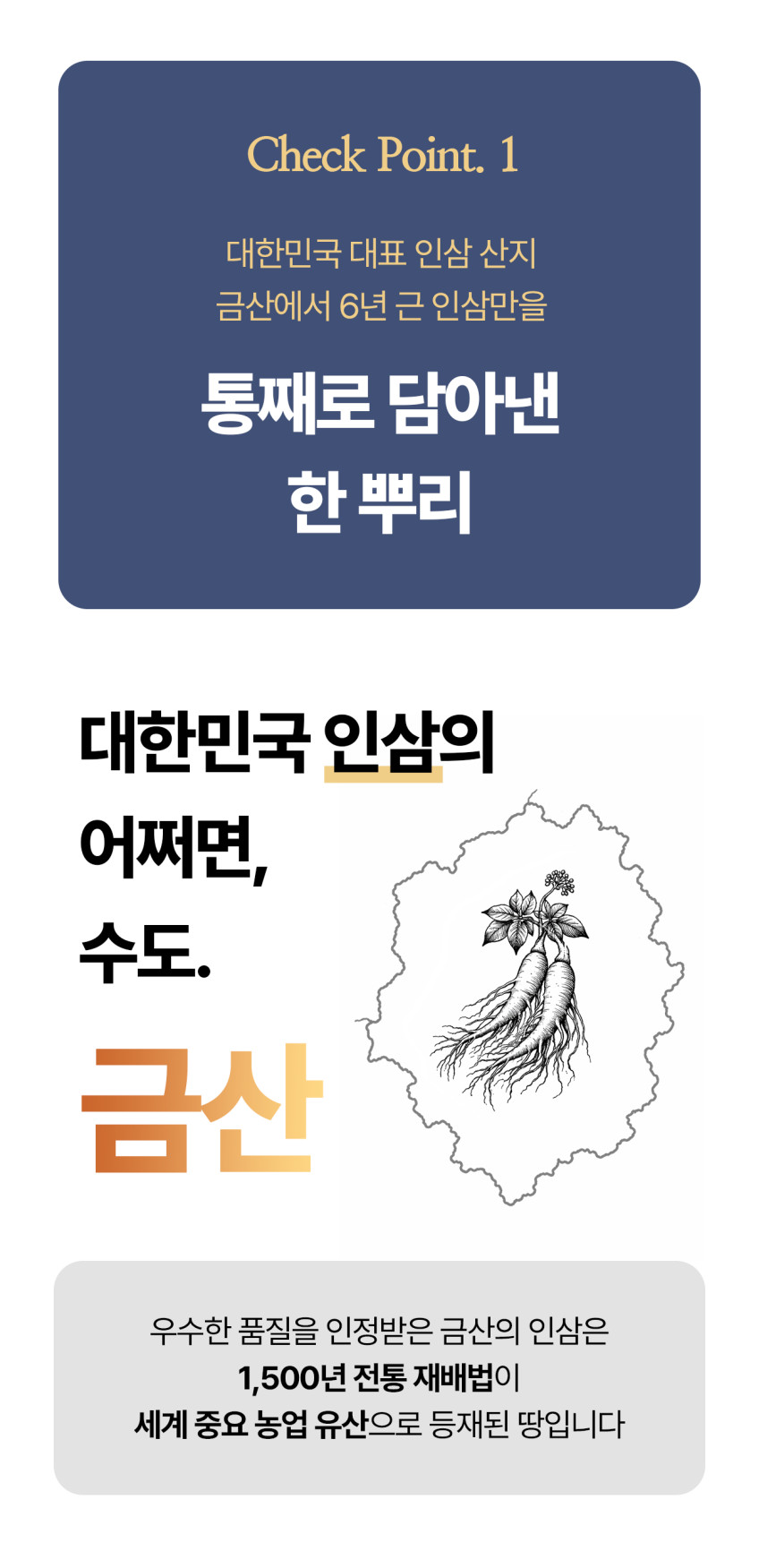인삼한뿌리 스틱