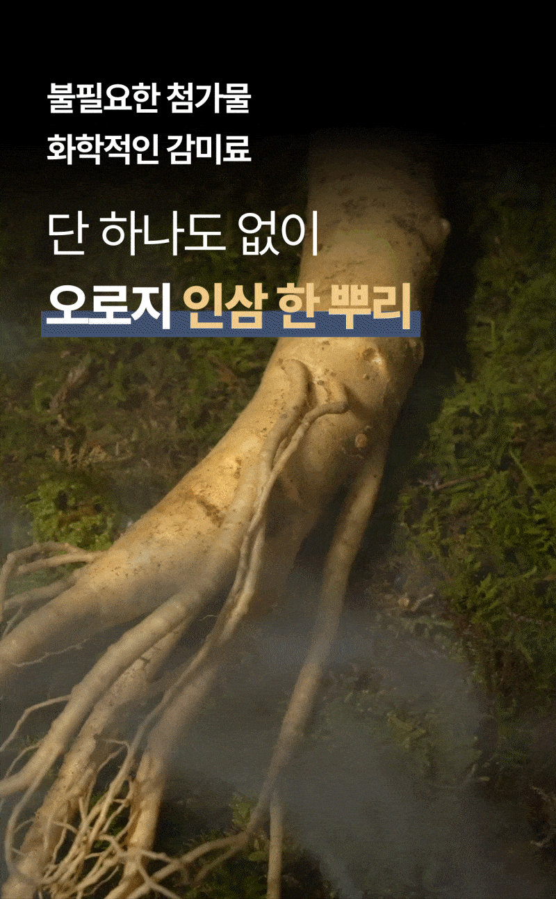 인삼한뿌리 스틱