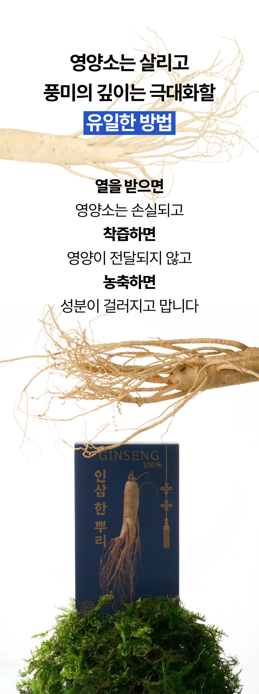 인삼한뿌리 스틱