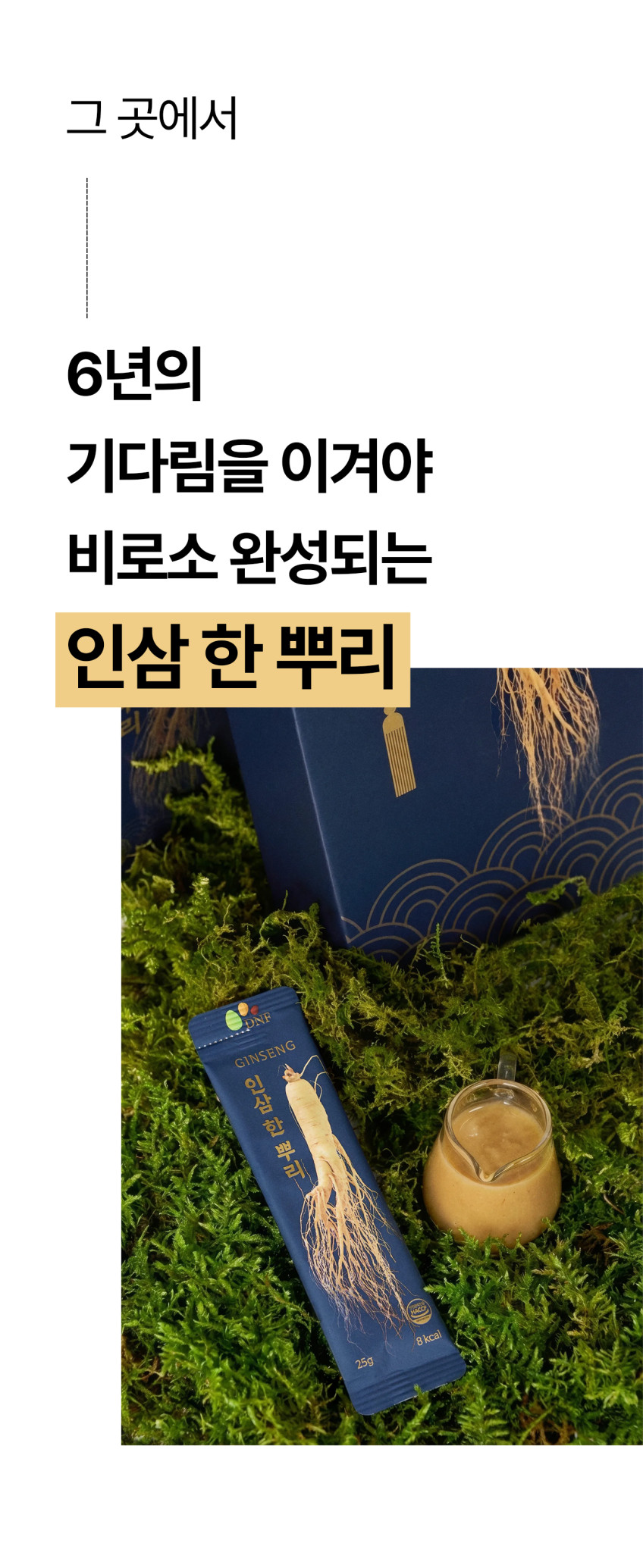 인삼한뿌리 스틱