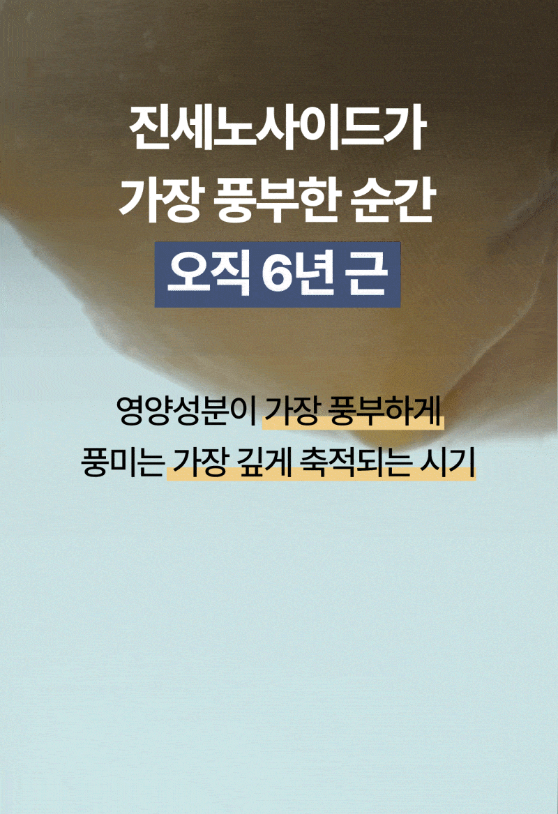 인삼한뿌리 스틱