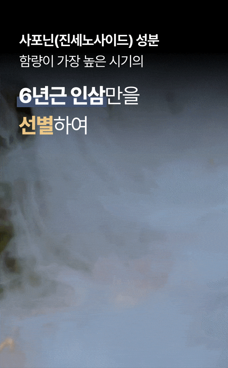 인삼한뿌리 스틱