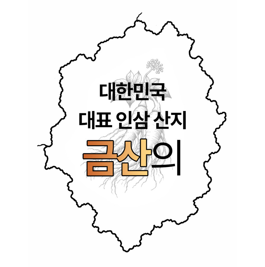 인삼한뿌리 스틱