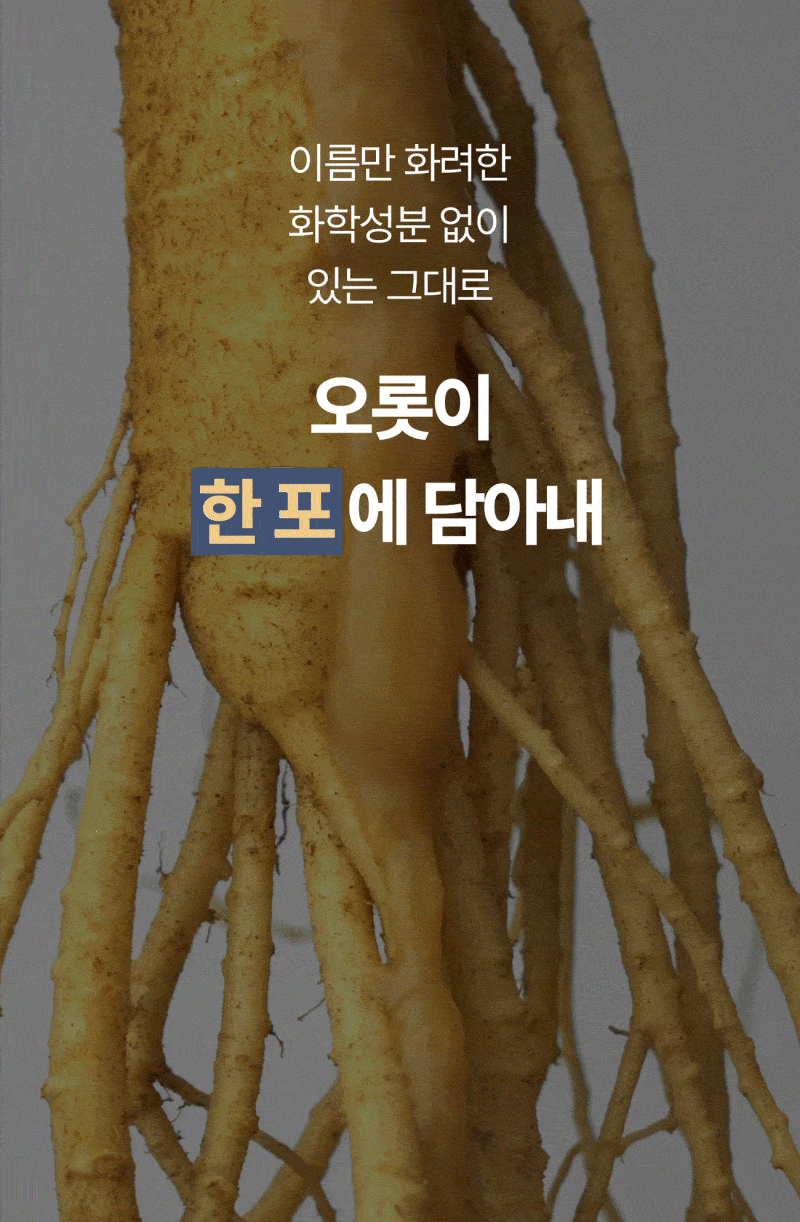 인삼한뿌리 스틱