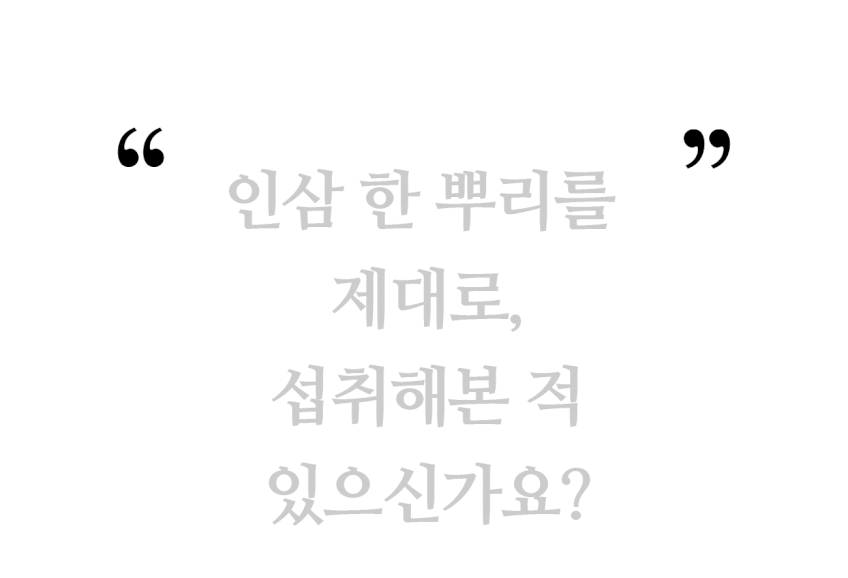 인삼한뿌리 스틱
