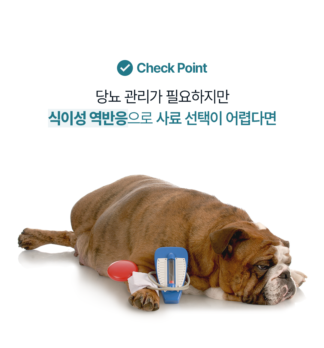 [샘플] 하이포 다이아베틱 (5ea)