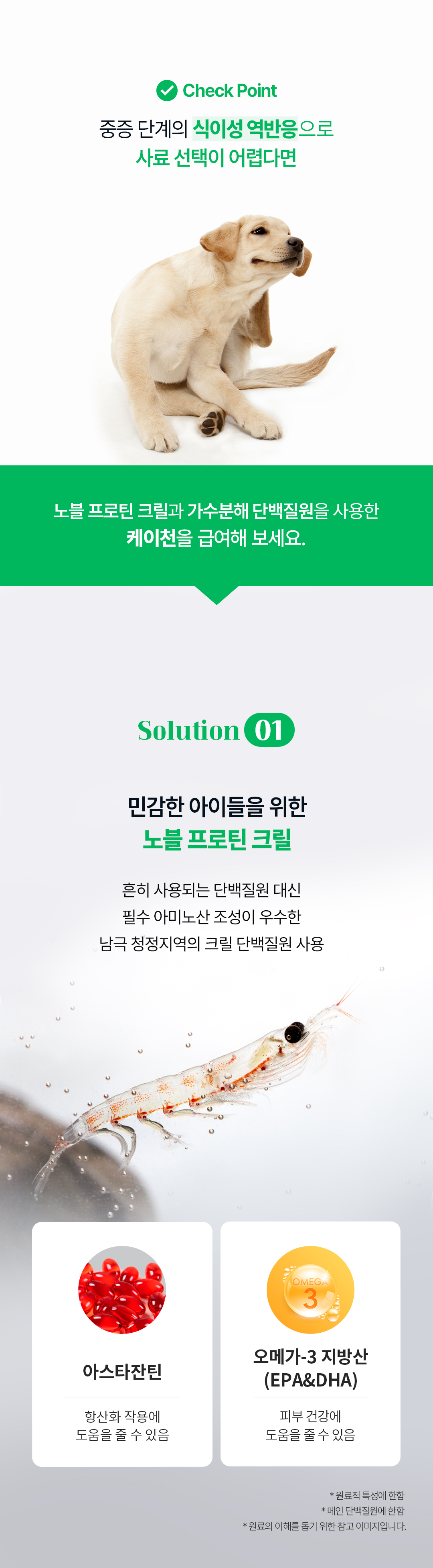 [샘플] 케이천 (5ea)
