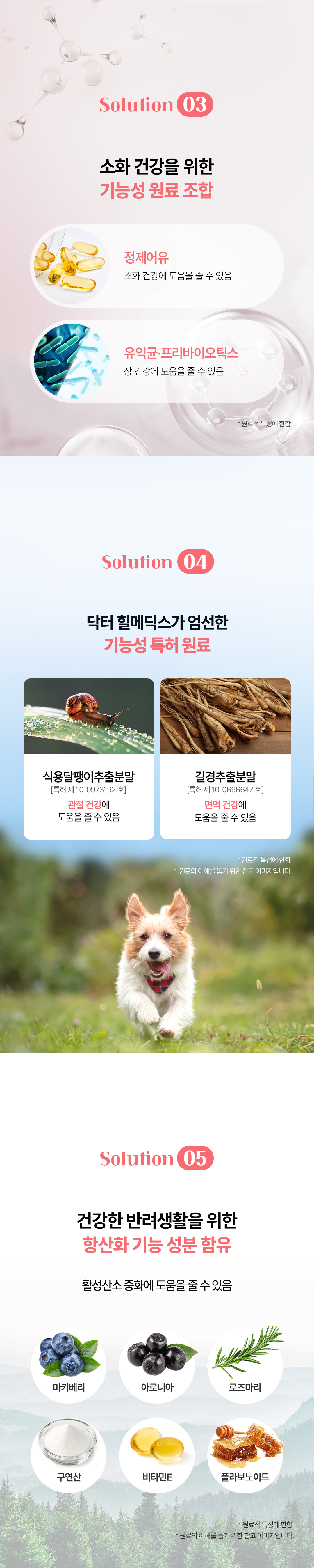[샘플] 인테스티날 로우펫 (5ea)