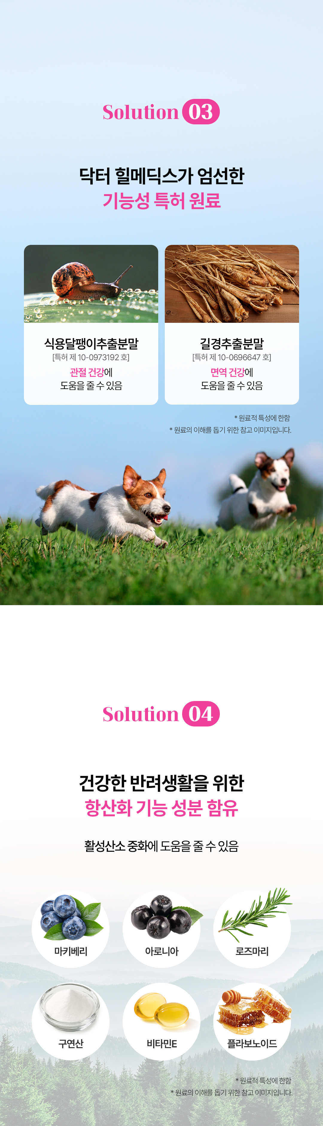 [샘플] 헤파틱 (5ea)