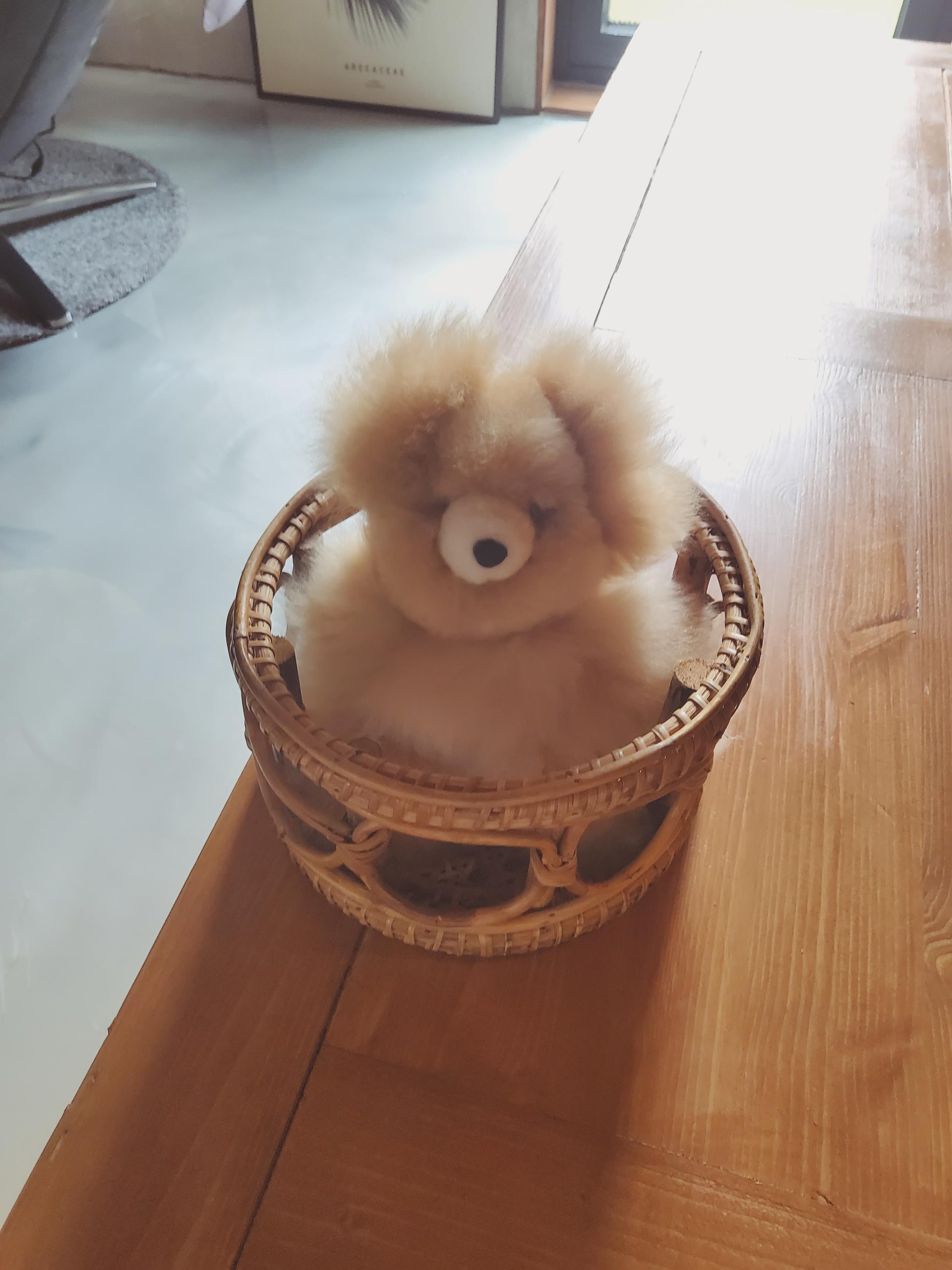 【GREYMANSION】Sustainable Alpaca Bear from Peru [Micro] Sustainable Alpaca Bear from Peru : 그레이맨션 GREY MANSION