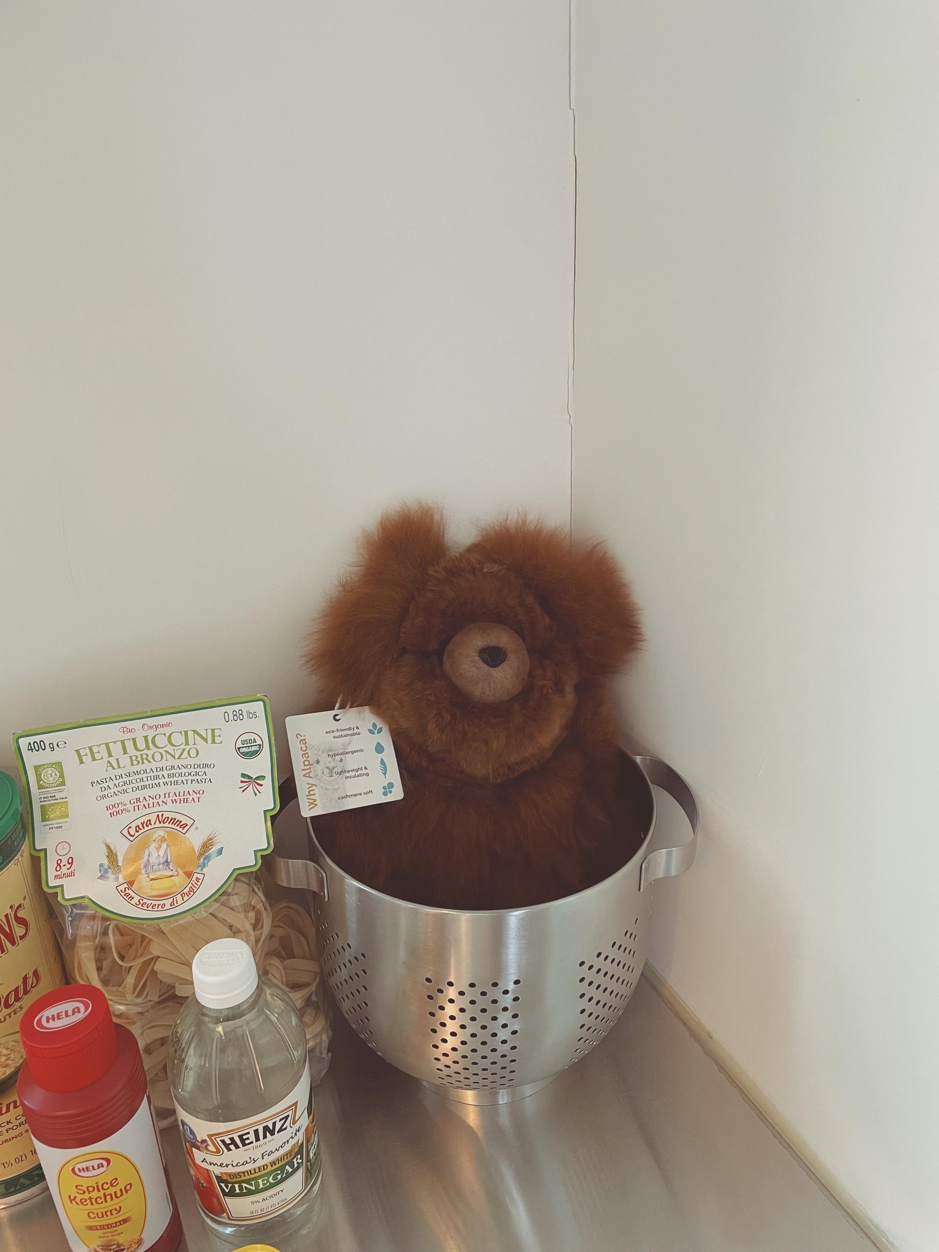 그레이맨션]Sustainable Alpaca Bear from Peru small size