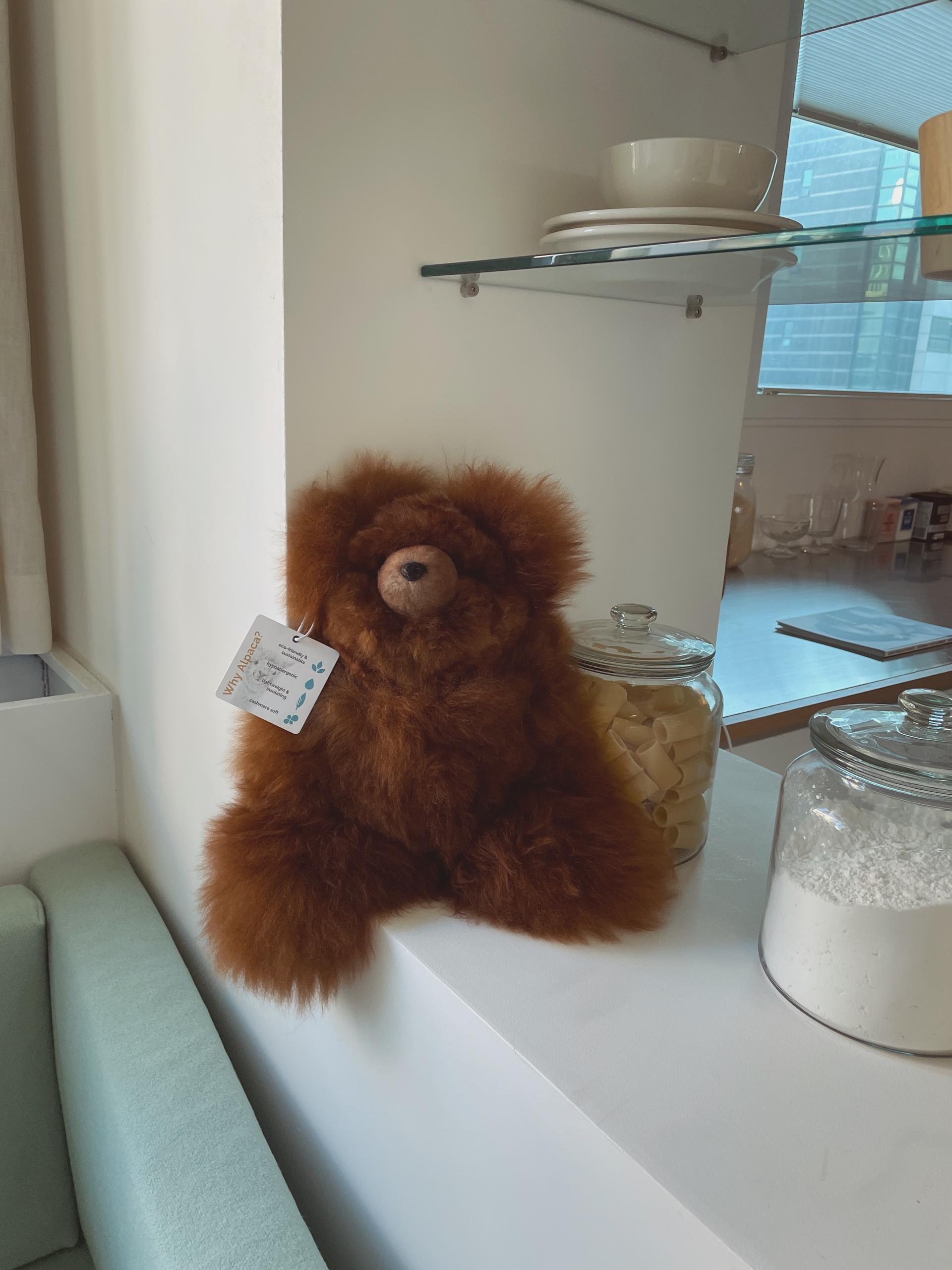 [그레이맨션]Sustainable Alpaca Bear from Peru Medium sixe 알파카 베어 미디움 [W CONCEPT]