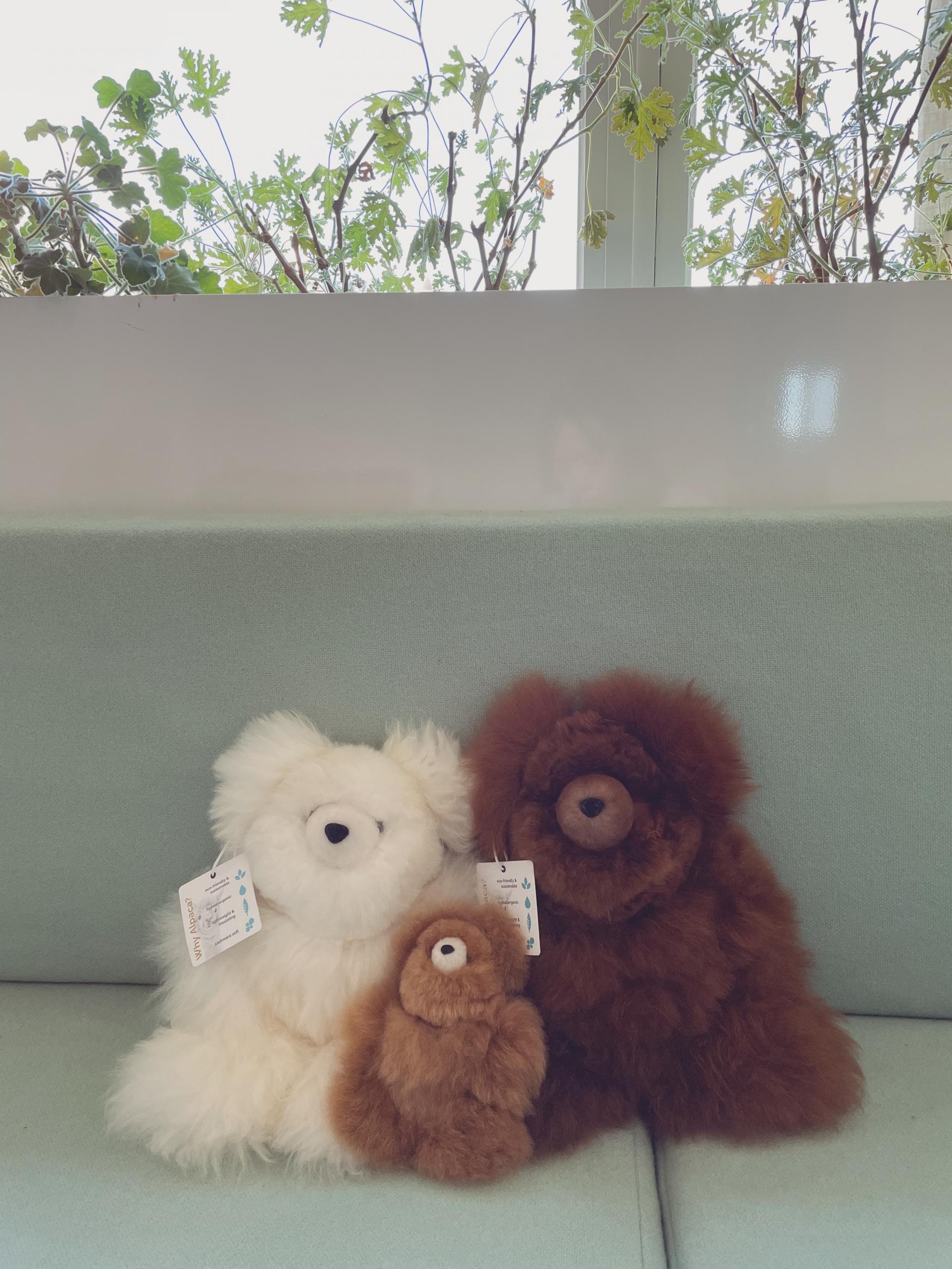 【GREYMANSION】Sustainable Alpaca Bear from Peru [Micro] Sustainable Alpaca Bear from Peru : 그레이맨션 GREY MANSION