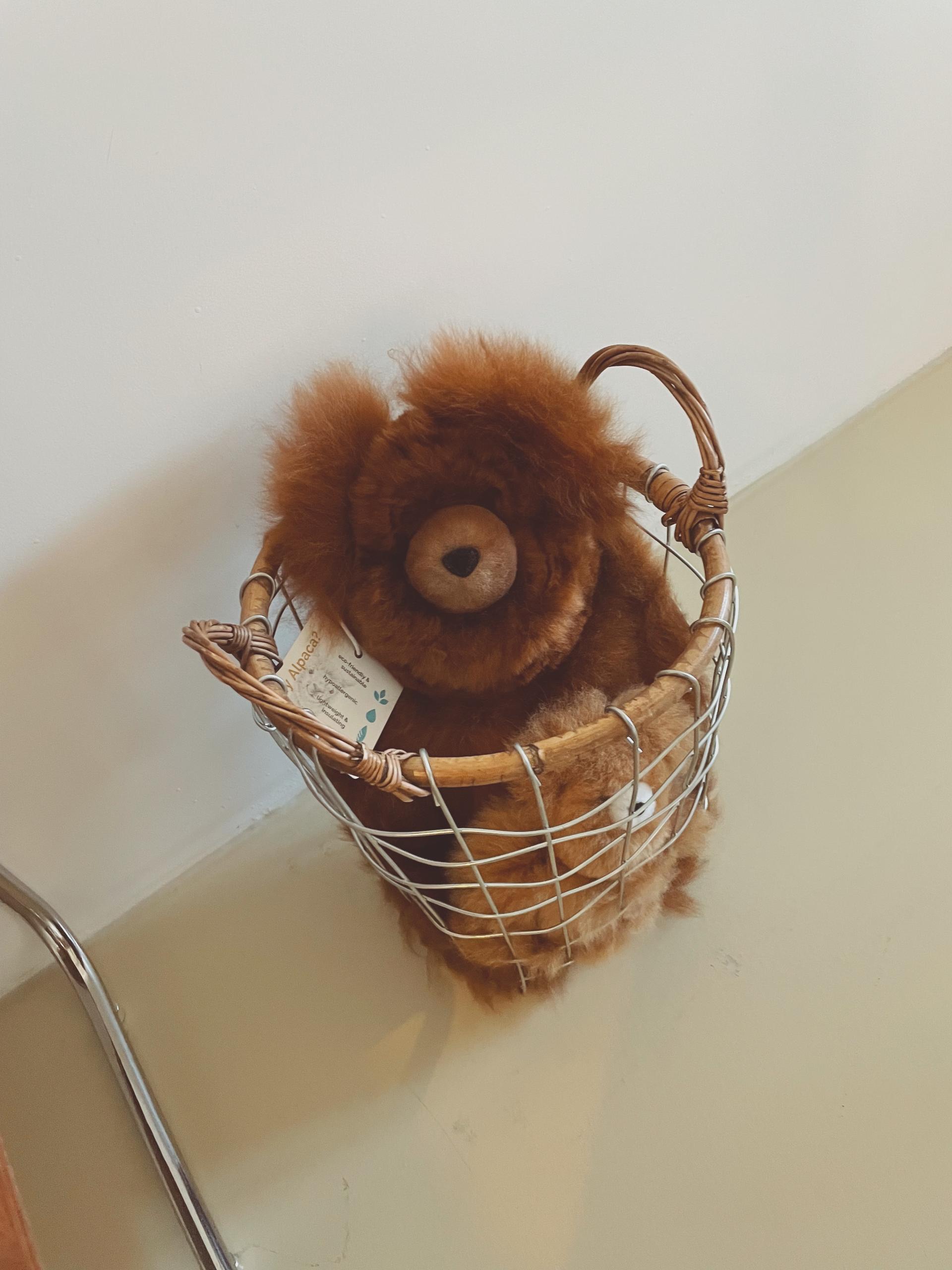 【GREYMANSION】Sustainable Alpaca Bear from Peru [Micro] Sustainable Alpaca Bear from Peru : 그레이맨션 GREY MANSION