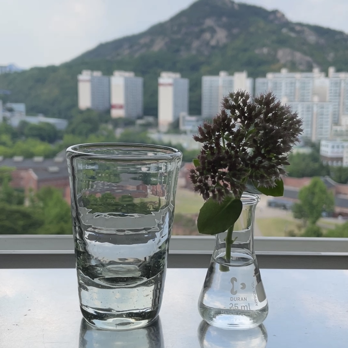 25ml 삼각 플라스크 미니 꽃병