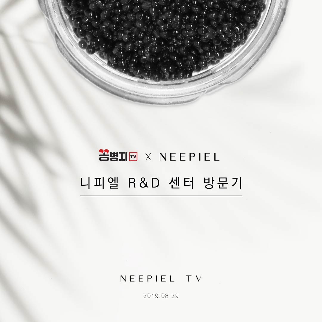 니피엘 X 꽁병지 콜라보레이션! : 니피엘 Neepiel