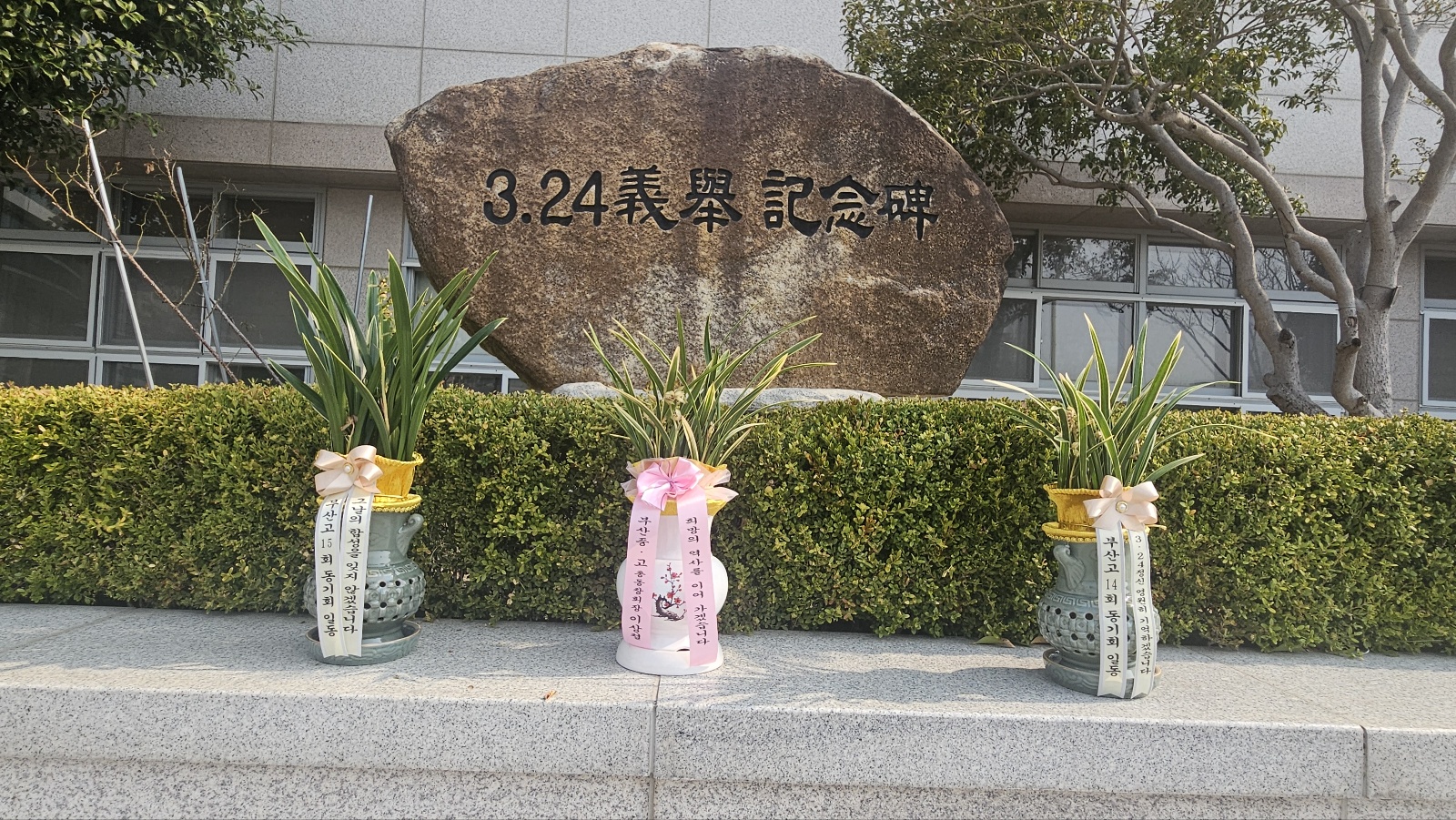 e2a18dc9d74d7.jpg
